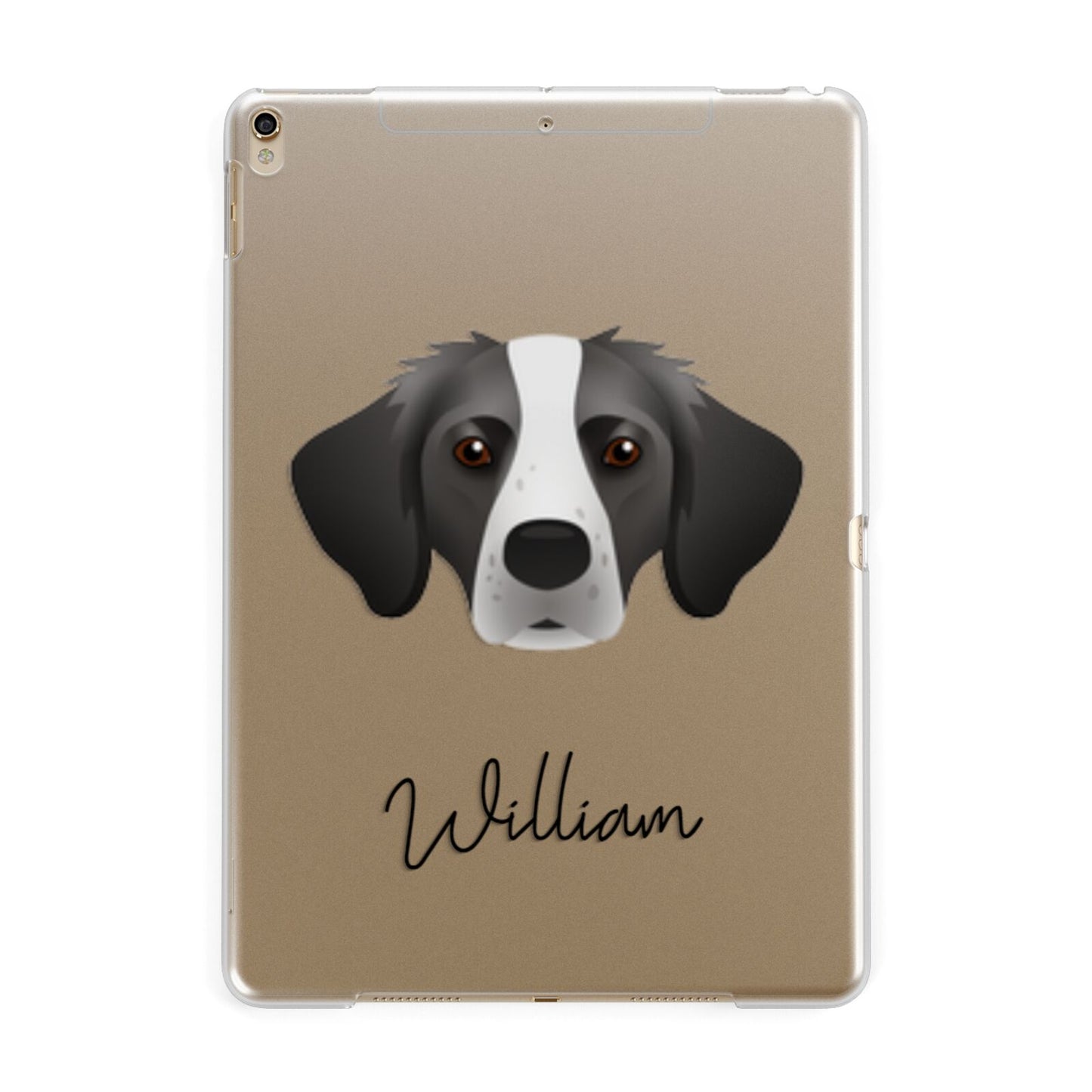 Brittany Personalised Apple iPad Gold Case