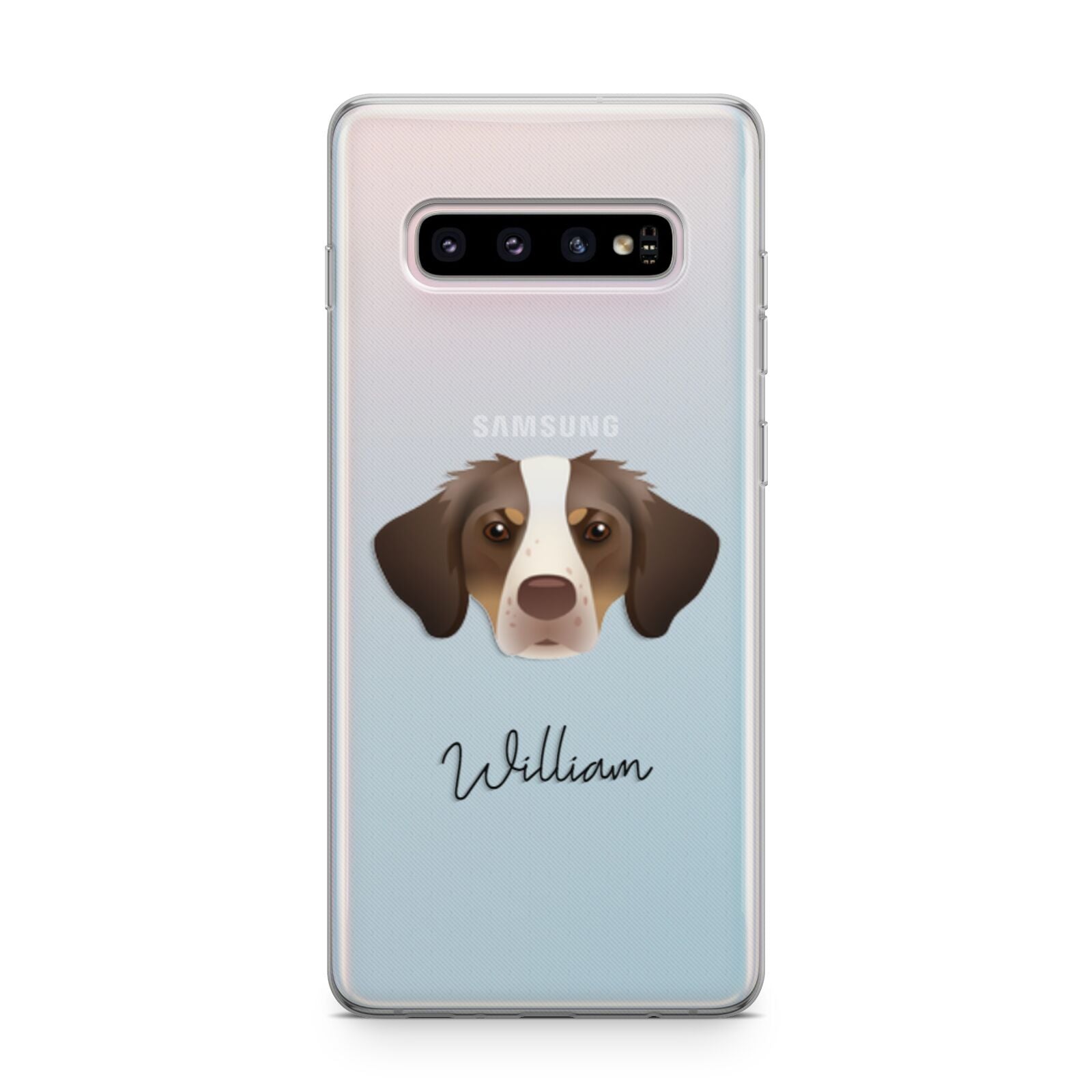 Brittany Personalised Samsung Galaxy S10 Plus Case