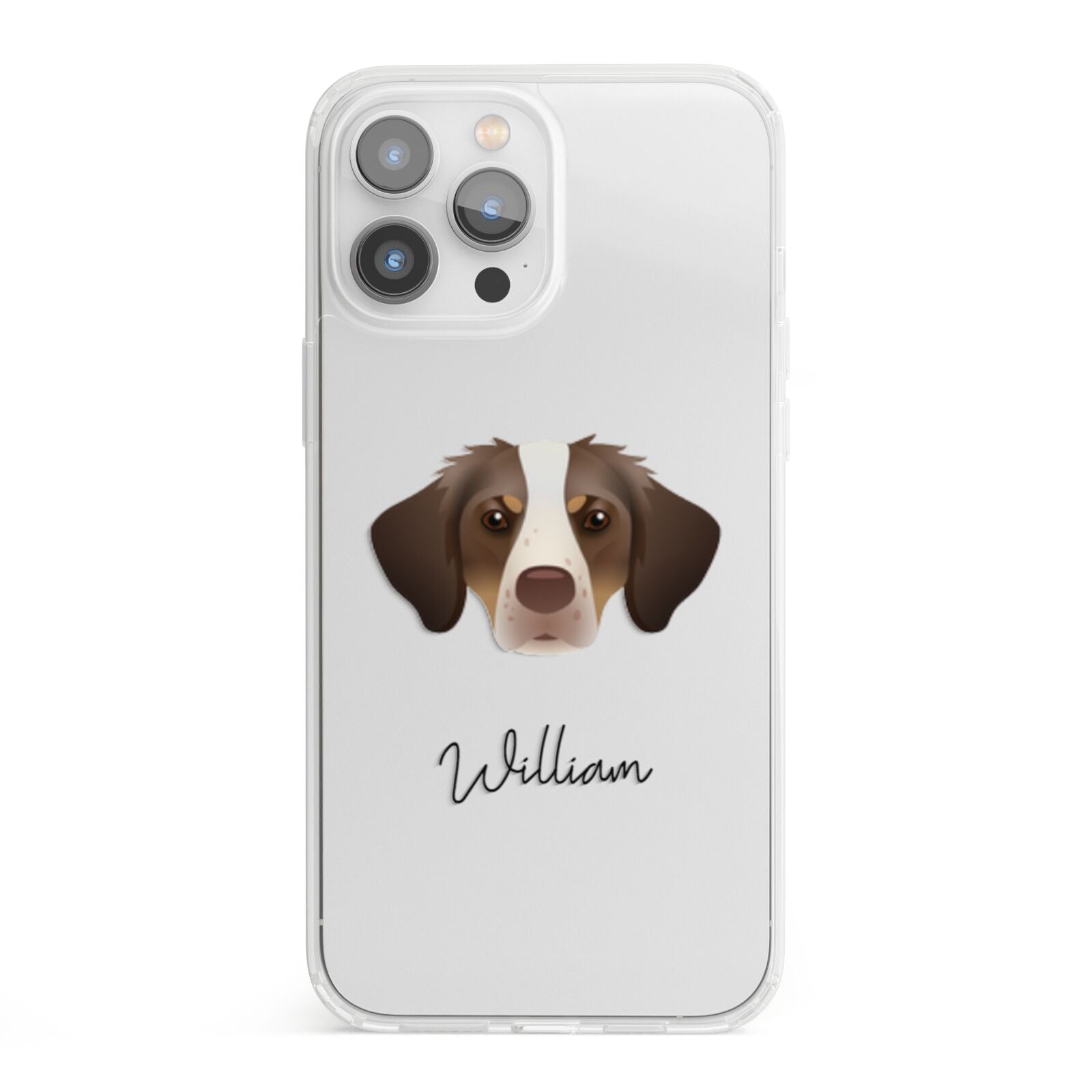 Brittany Personalised iPhone 13 Pro Max Clear Bumper Case