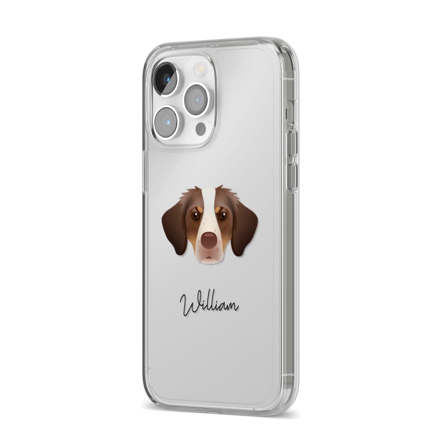 Brittany Personalised iPhone 14 Pro Max Clear Tough Case Silver Angled Image