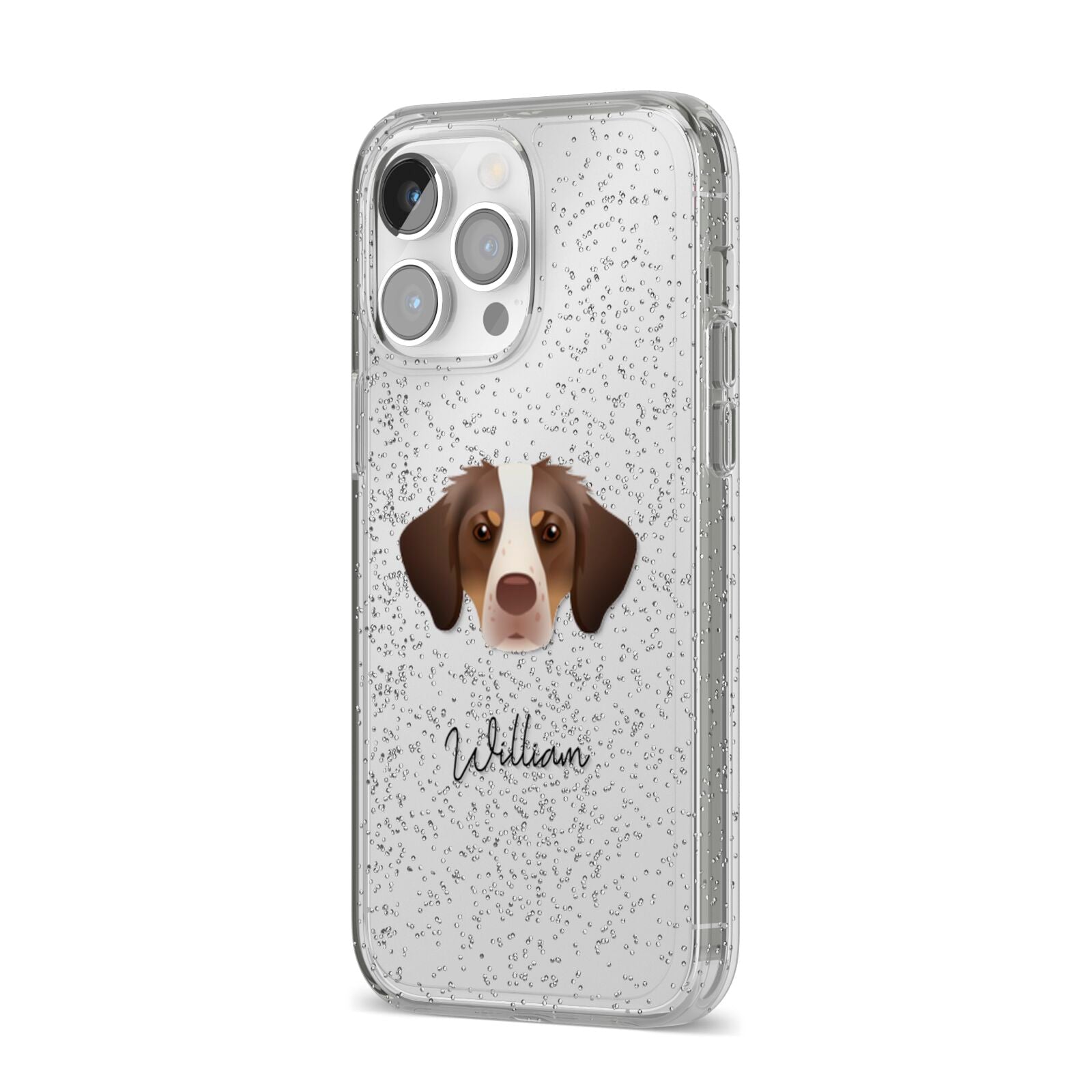 Brittany Personalised iPhone 14 Pro Max Glitter Tough Case Silver Angled Image