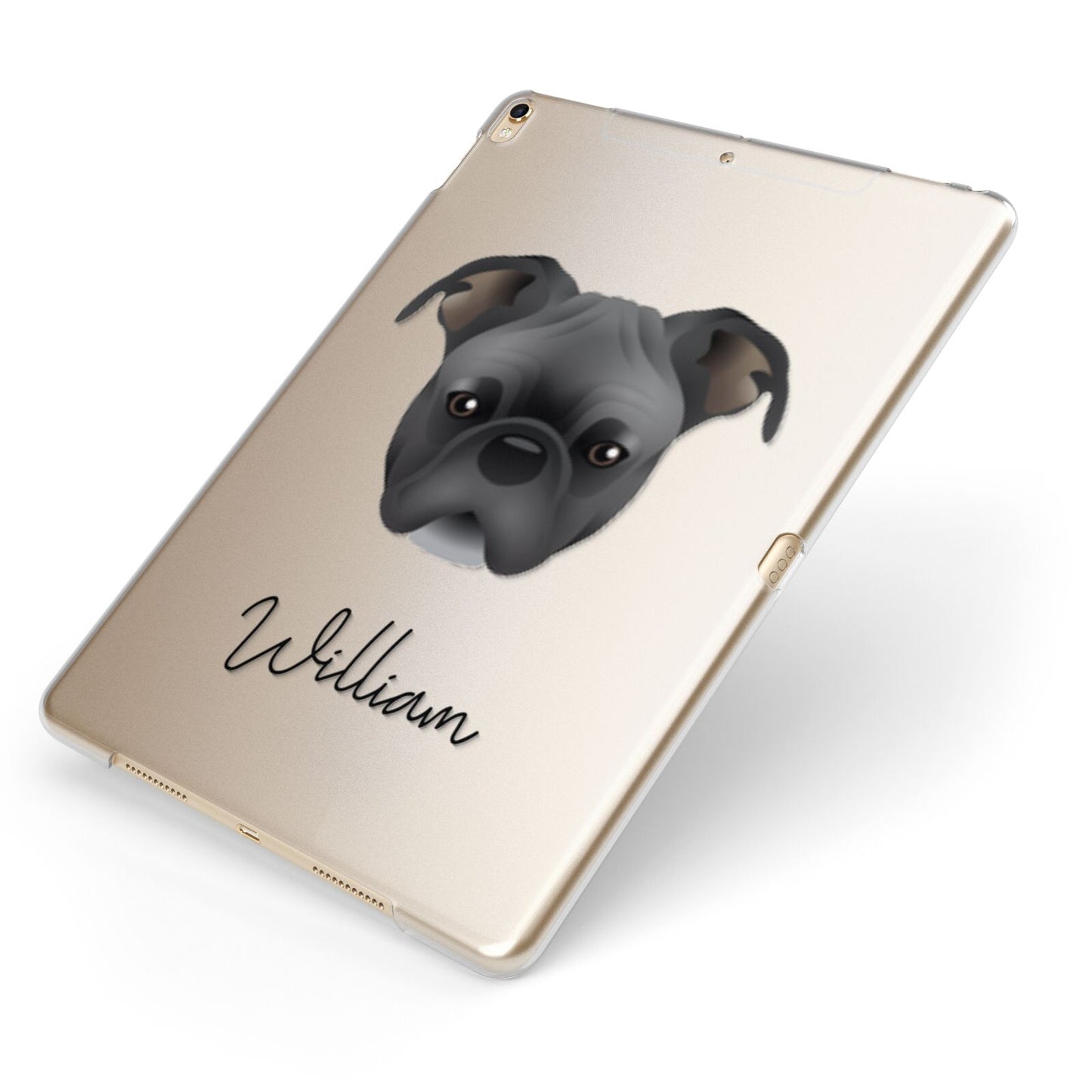 Bugg Personalised Apple iPad Case on Gold iPad Side View