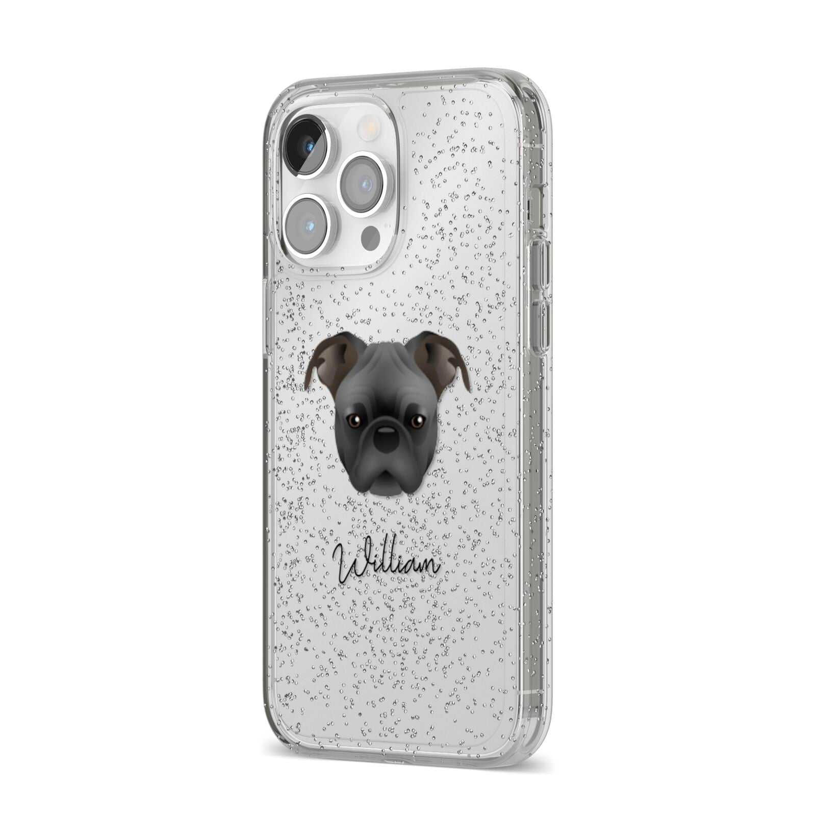 Bugg Personalised iPhone 14 Pro Max Glitter Tough Case Silver Angled Image