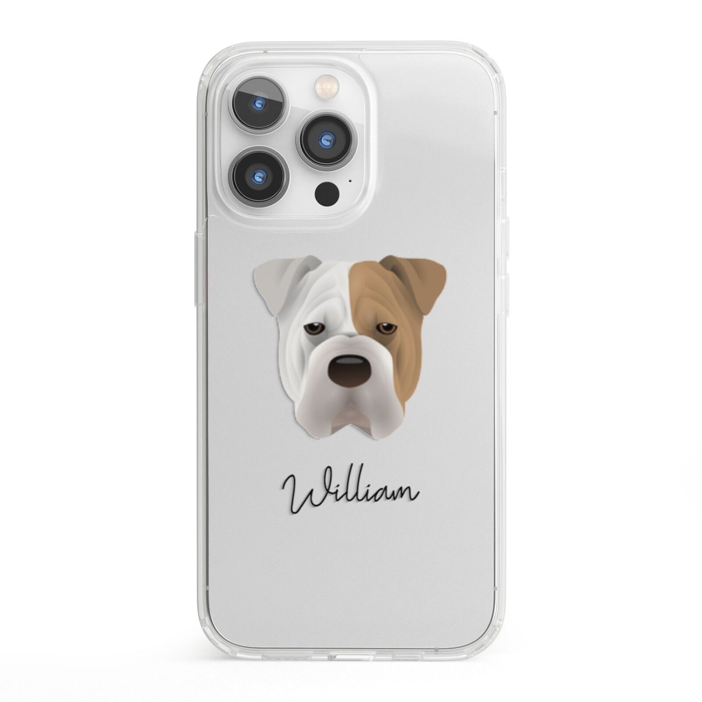 Bull Pei Personalised iPhone 13 Pro Clear Bumper Case