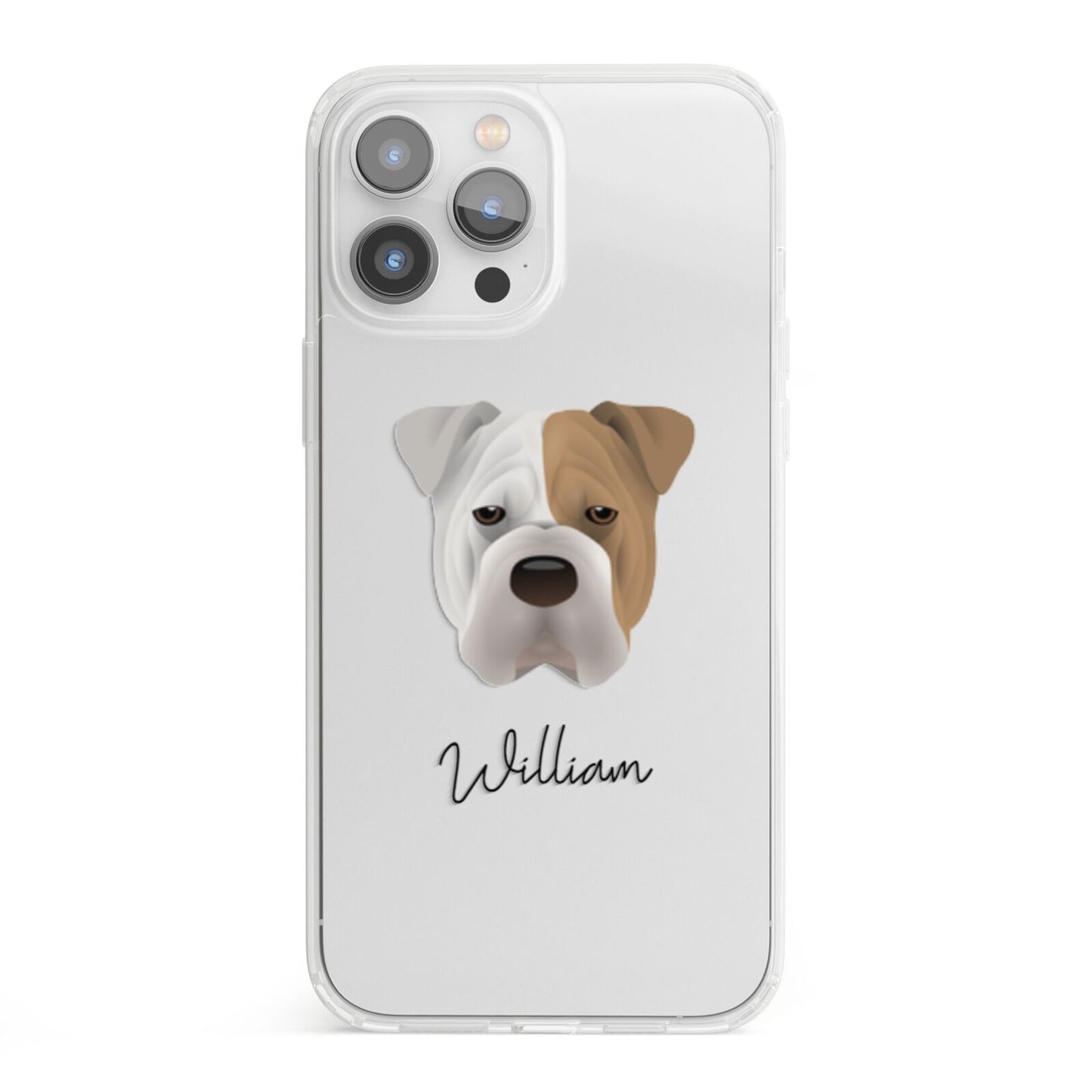 Bull Pei Personalised iPhone 13 Pro Max Clear Bumper Case