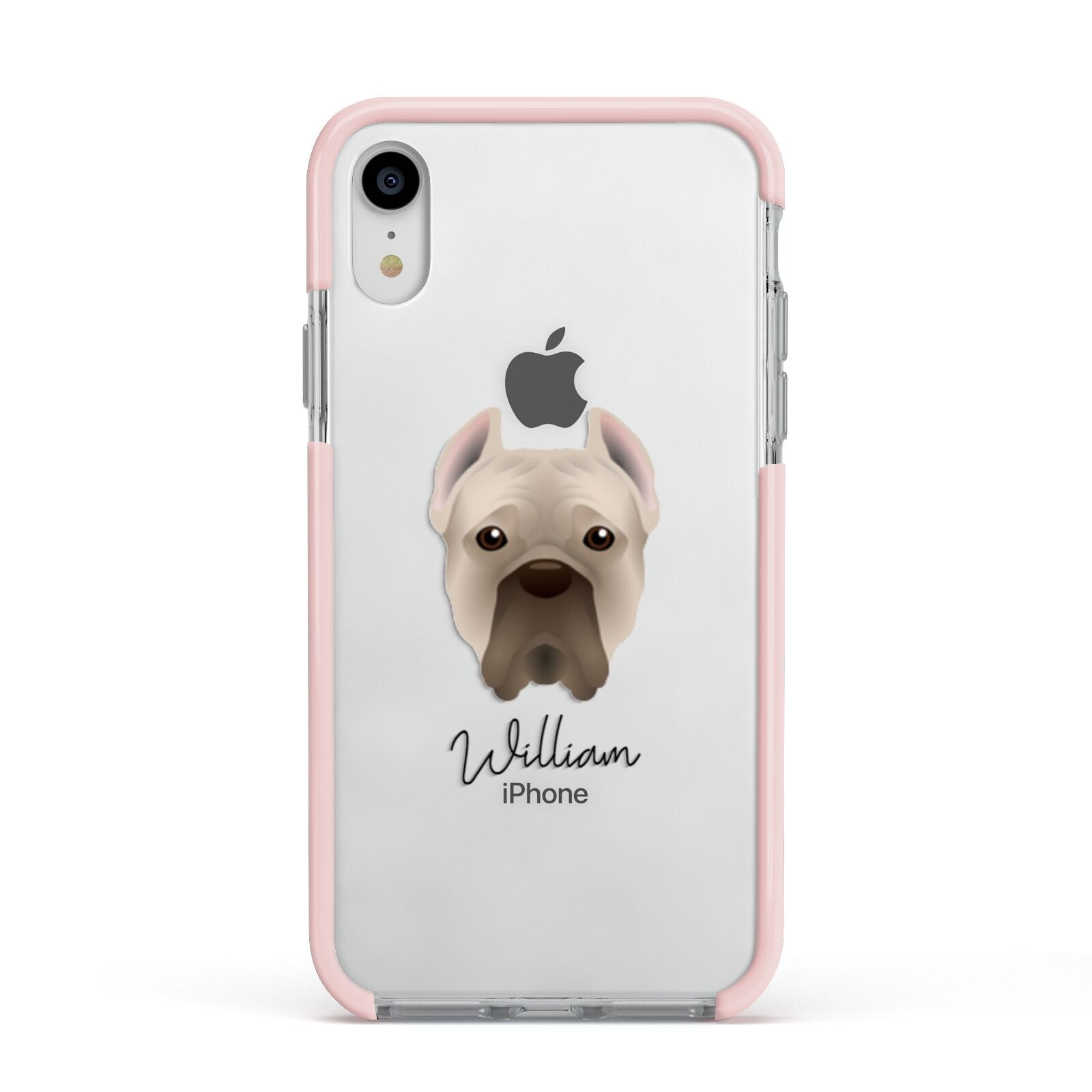 Cane Corso Italiano Personalised Apple iPhone XR Impact Case Pink Edge on Silver Phone