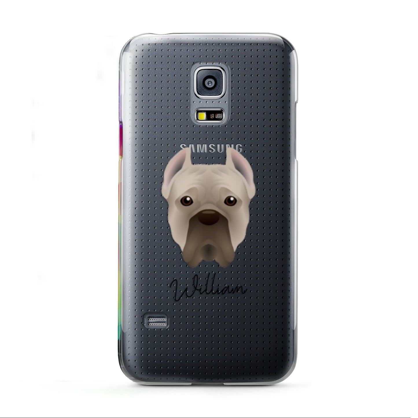 Cane Corso Italiano Personalised Samsung Galaxy S5 Mini Case