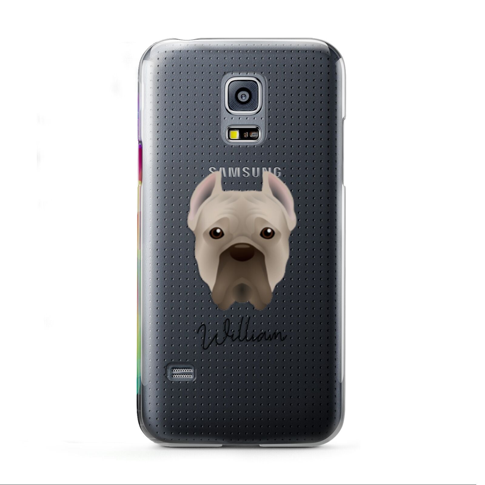 Cane Corso Italiano Personalised Samsung Galaxy S5 Mini Case