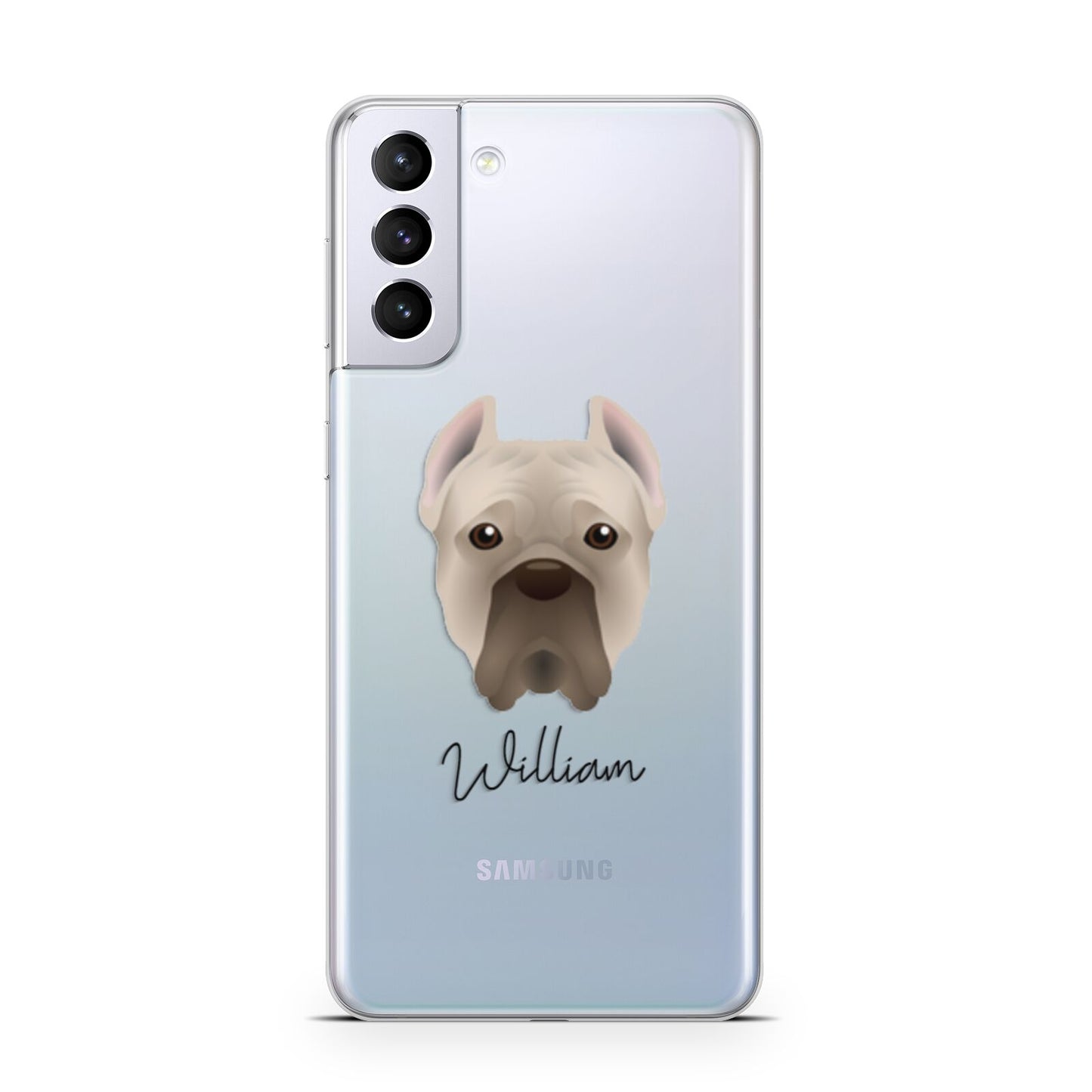 Cane Corso Italiano Personalised Samsung S21 Plus Phone Case