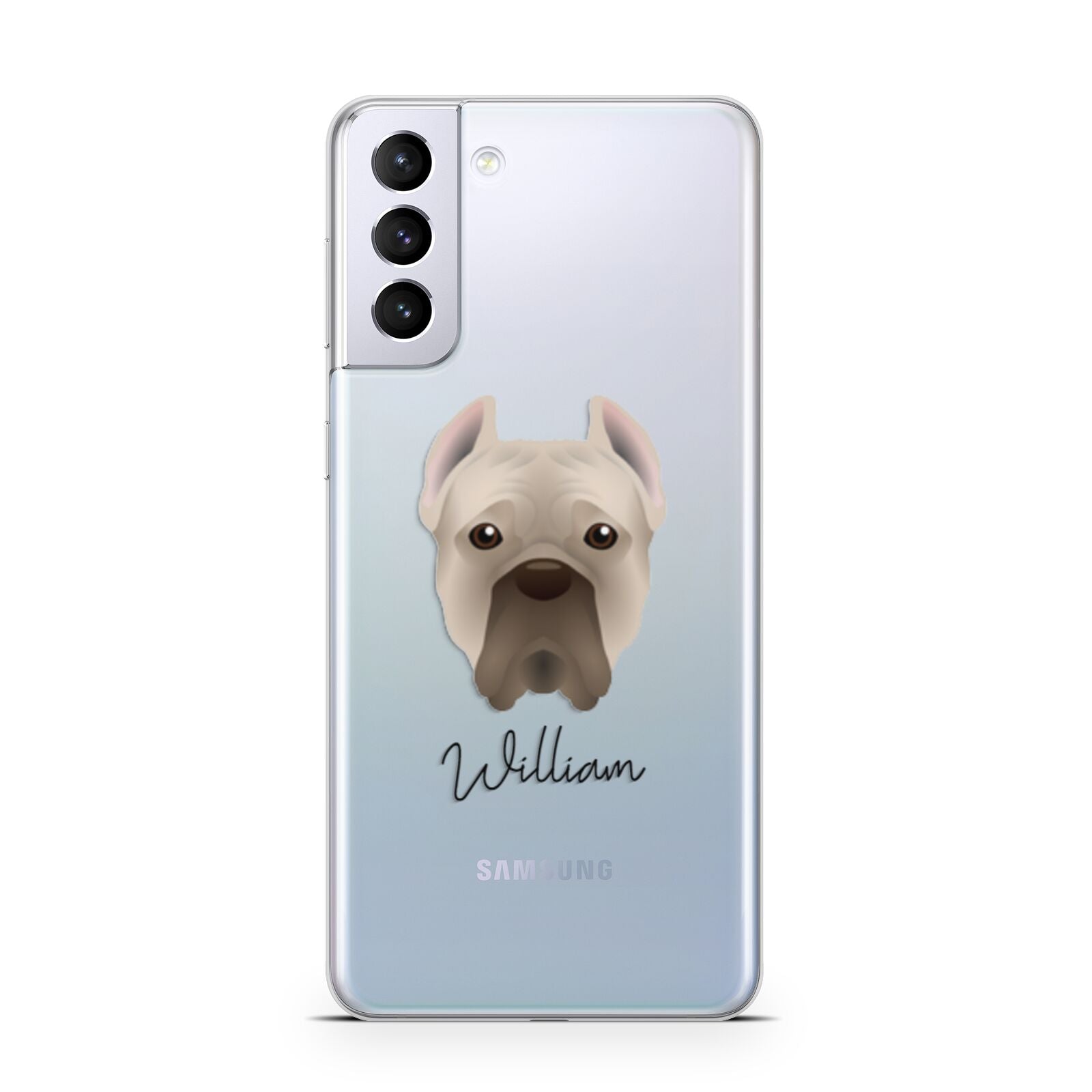 Cane Corso Italiano Personalised Samsung S21 Plus Phone Case