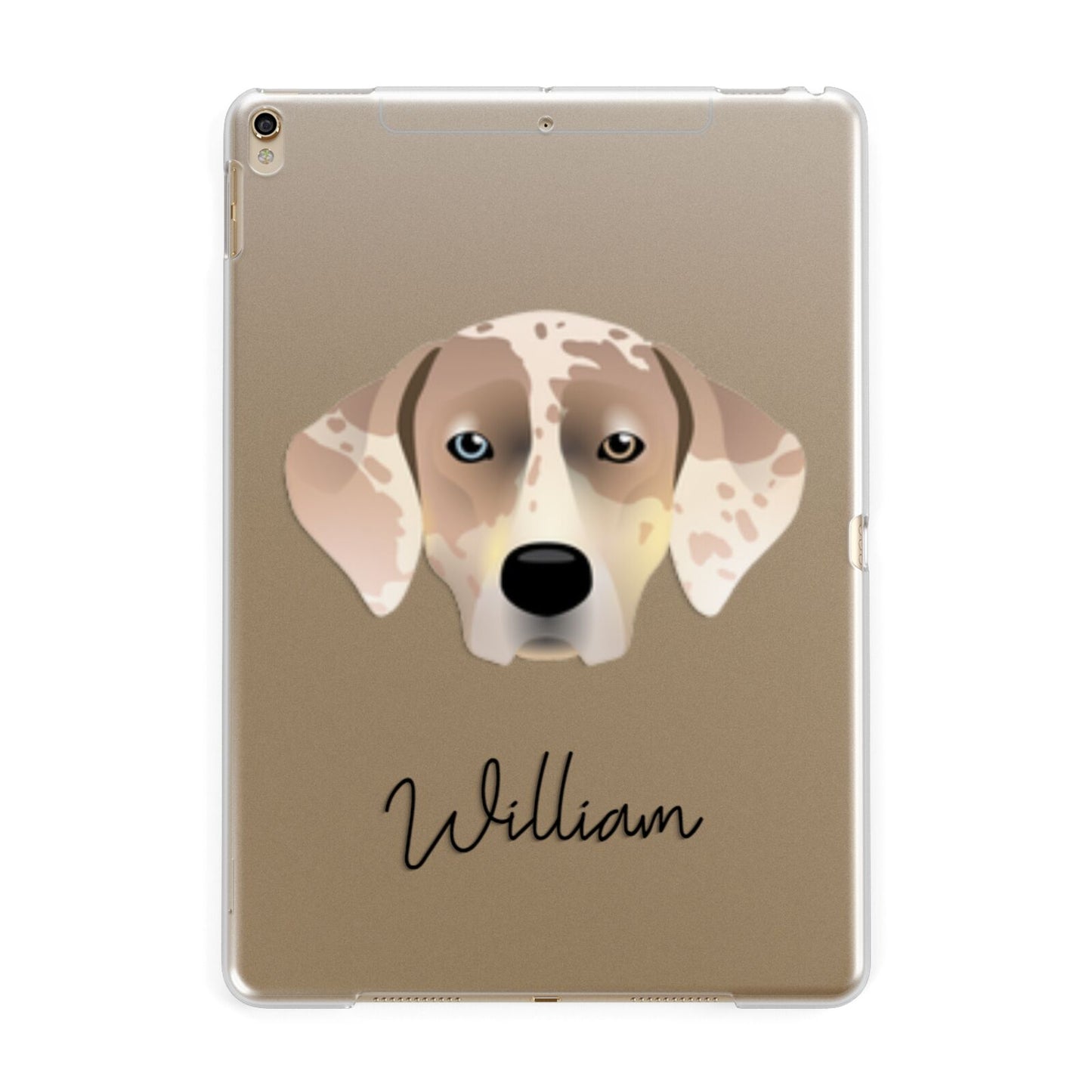 Catahoula Leopard Dog Personalised Apple iPad Gold Case