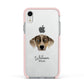 Catahoula Leopard Dog Personalised Apple iPhone XR Impact Case Pink Edge on Silver Phone