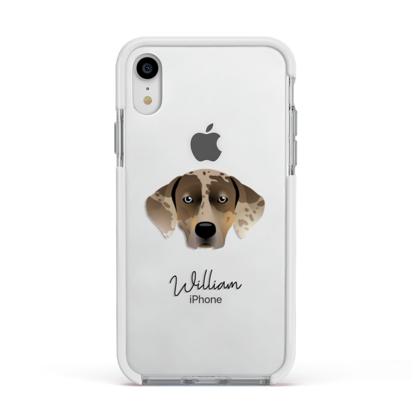 Catahoula Leopard Dog Personalised Apple iPhone XR Impact Case White Edge on Silver Phone