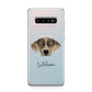 Catahoula Leopard Dog Personalised Samsung Galaxy S10 Plus Case