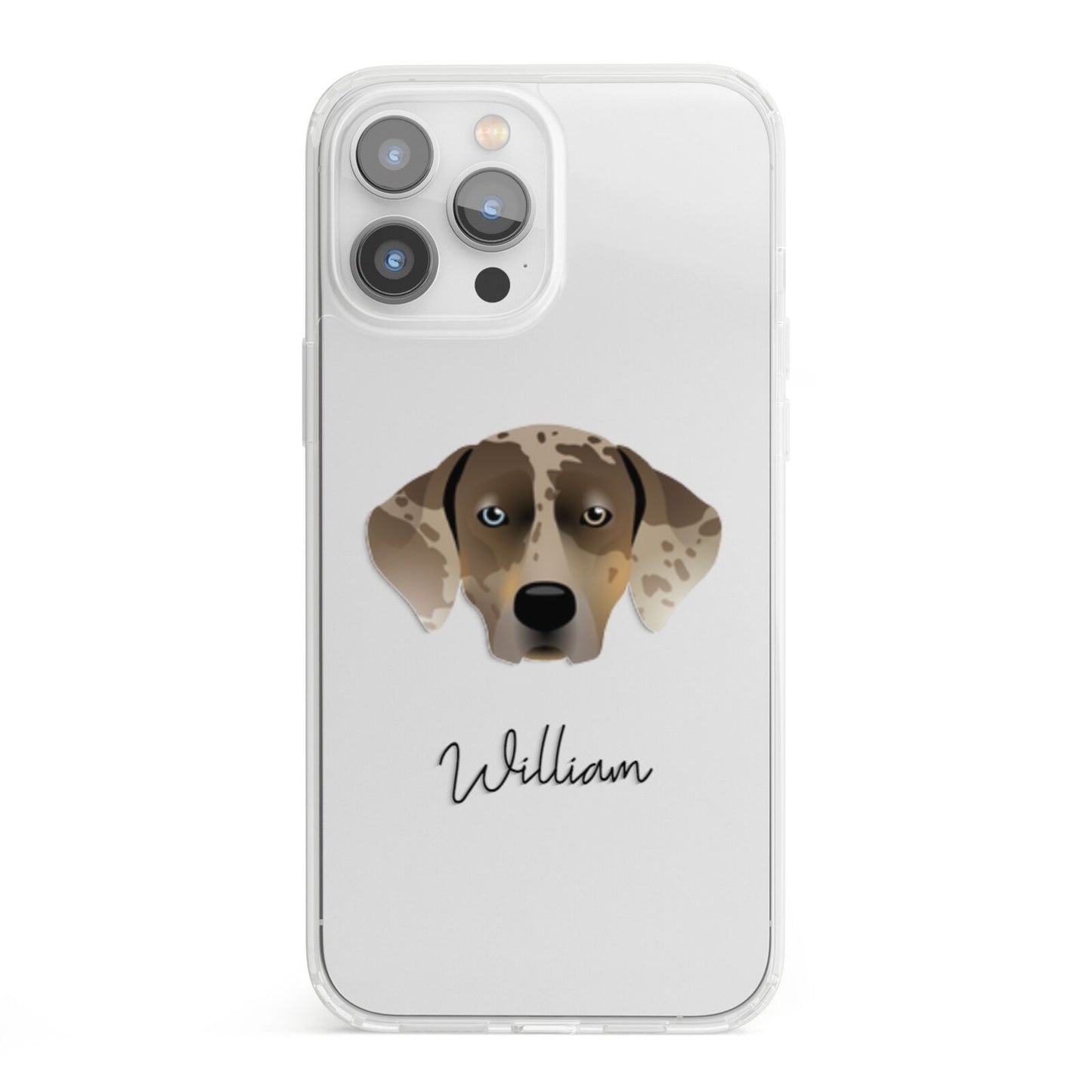 Catahoula Leopard Dog Personalised iPhone 13 Pro Max Clear Bumper Case