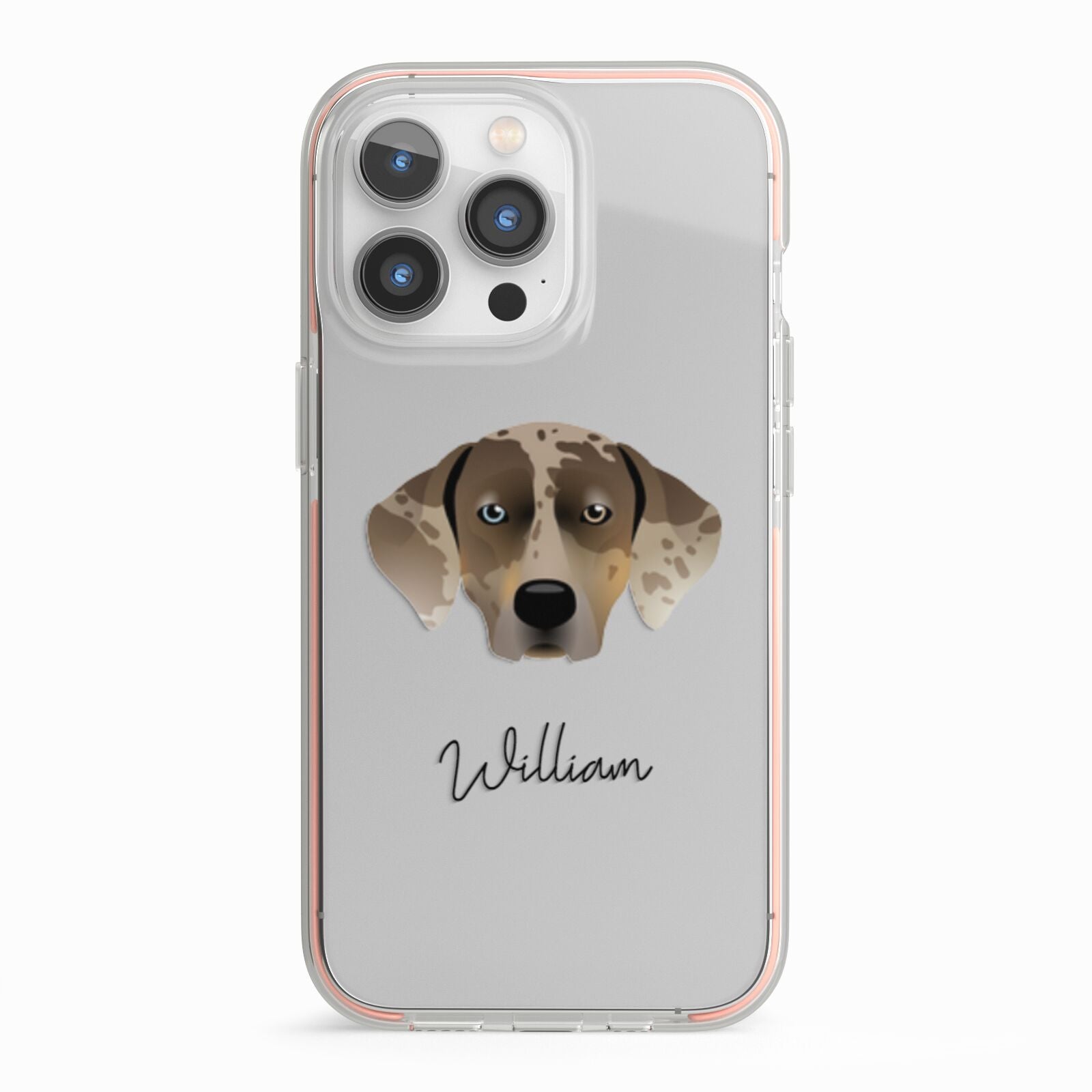 Catahoula Leopard Dog Personalised iPhone 13 Pro TPU Impact Case with Pink Edges