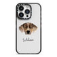 Catahoula Leopard Dog Personalised iPhone 14 Pro Black Impact Case on Silver phone