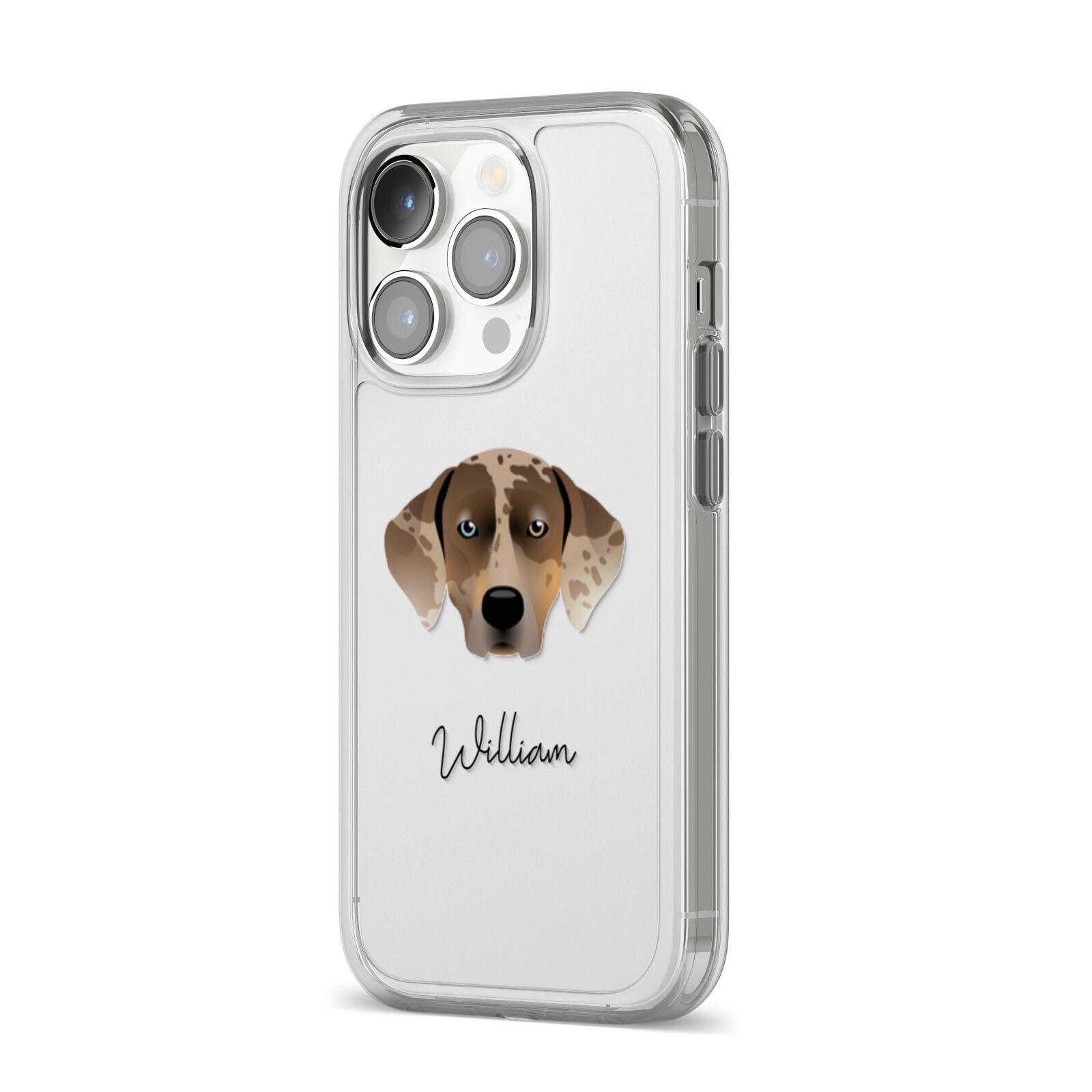 Catahoula Leopard Dog Personalised iPhone 14 Pro Clear Tough Case Silver Angled Image