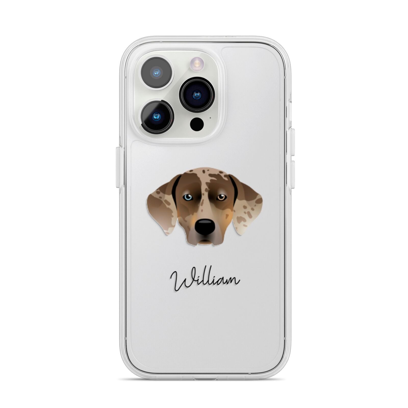 Catahoula Leopard Dog Personalised iPhone 14 Pro Clear Tough Case Silver