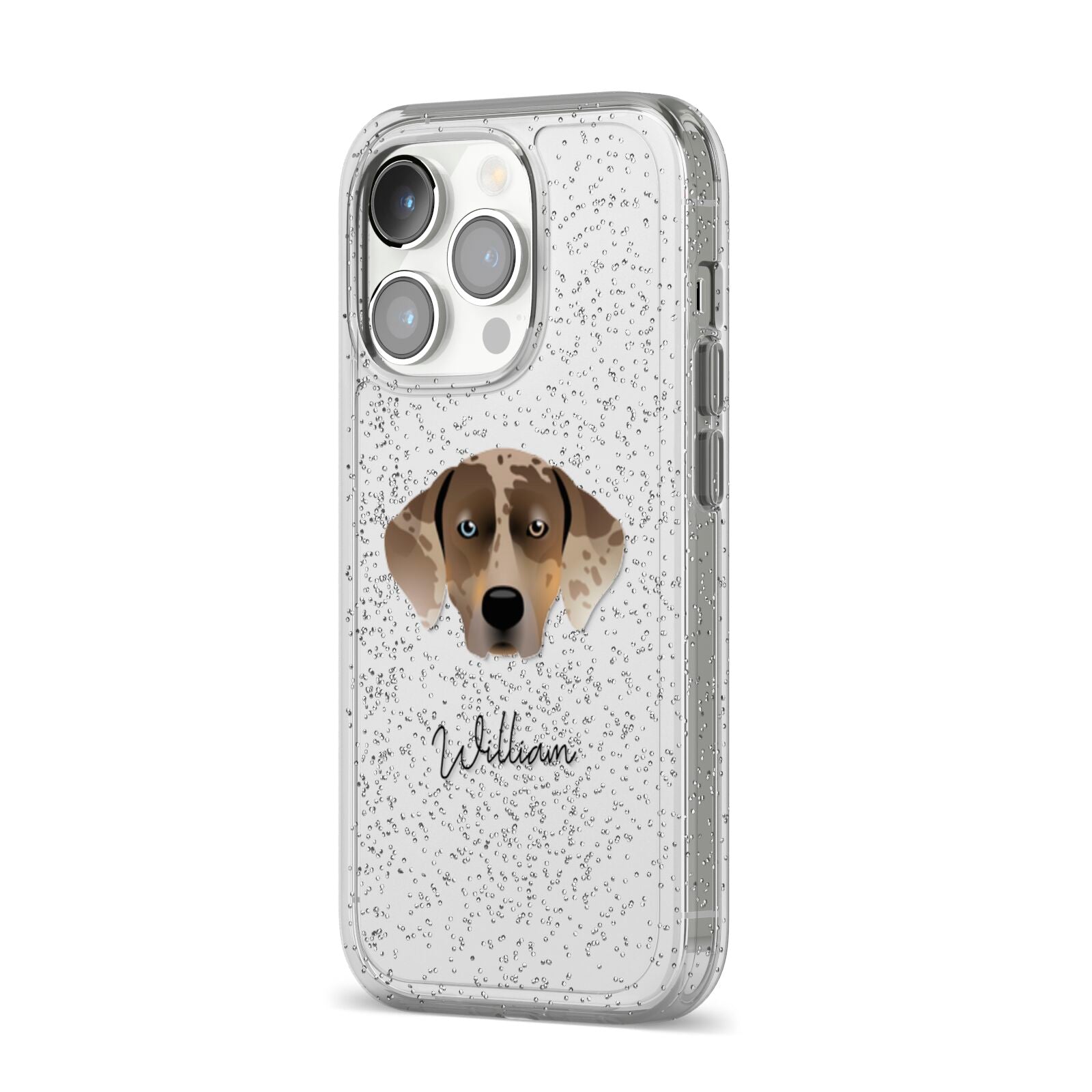 Catahoula Leopard Dog Personalised iPhone 14 Pro Glitter Tough Case Silver Angled Image