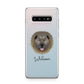 Causasian Shepherd Personalised Samsung Galaxy S10 Plus Case