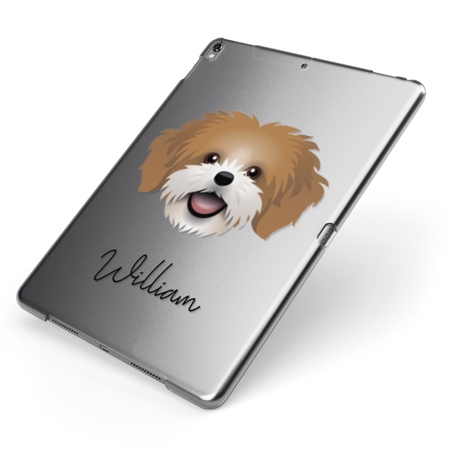Cava Tzu Personalised Apple iPad Case on Grey iPad Side View