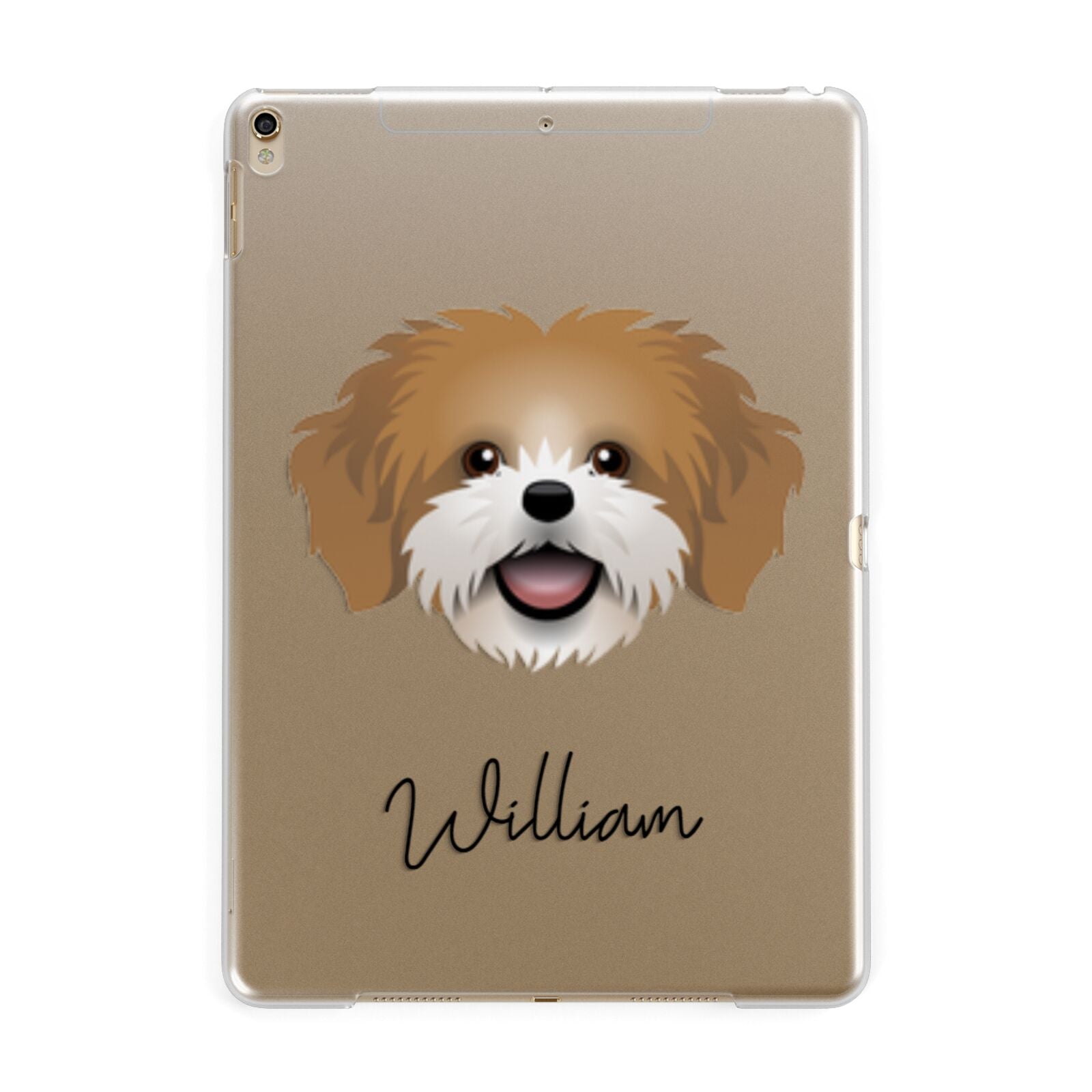 Cava Tzu Personalised Apple iPad Gold Case