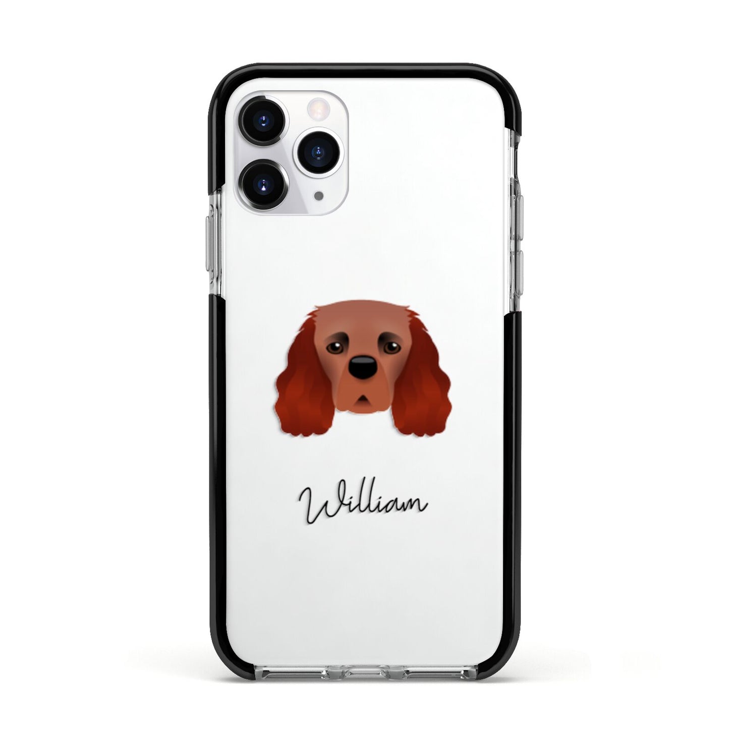 Cavalier King Charles Spaniel Personalised Apple iPhone 11 Pro in Silver with Black Impact Case