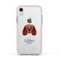 Cavalier King Charles Spaniel Personalised Apple iPhone XR Impact Case Pink Edge on Silver Phone