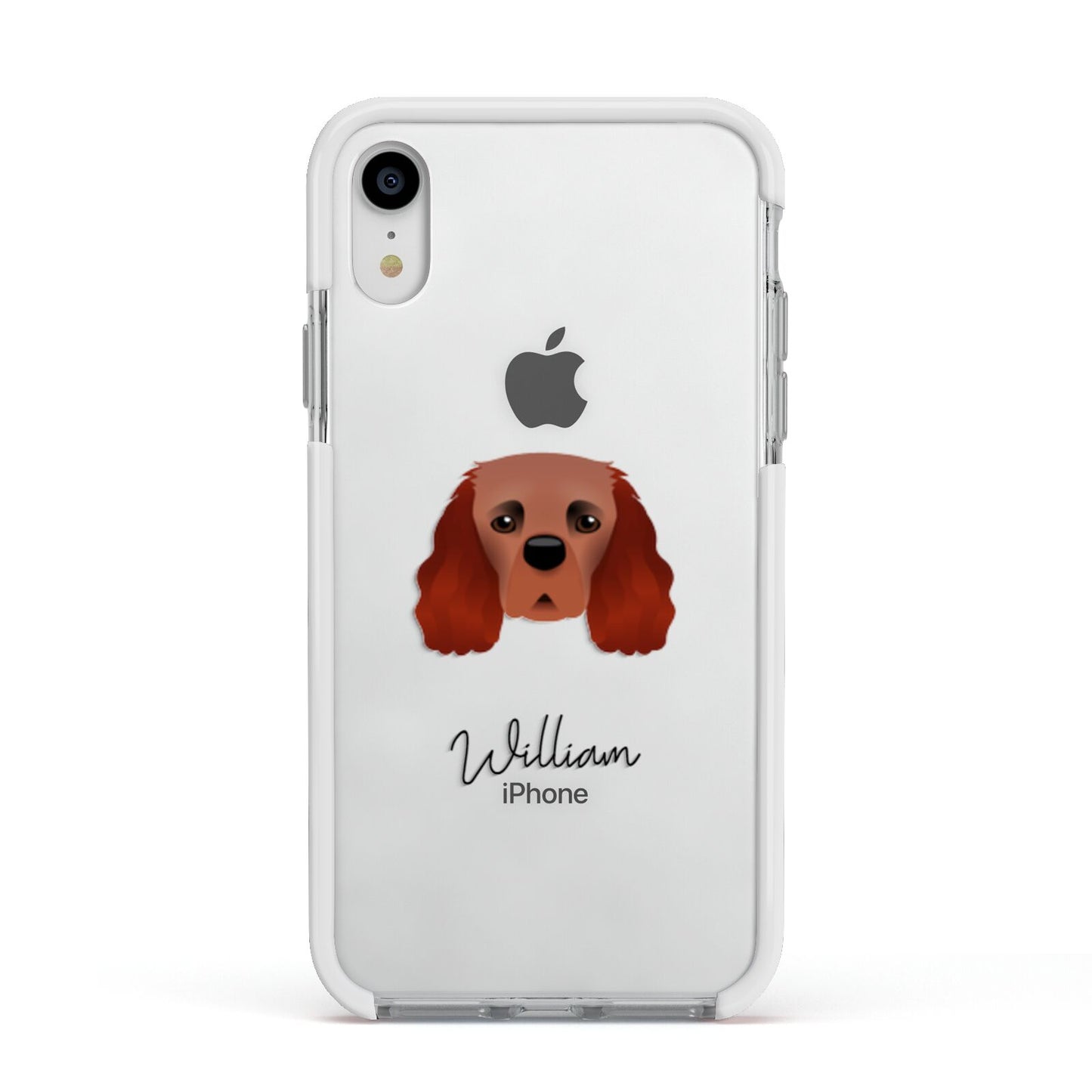 Cavalier King Charles Spaniel Personalised Apple iPhone XR Impact Case White Edge on Silver Phone