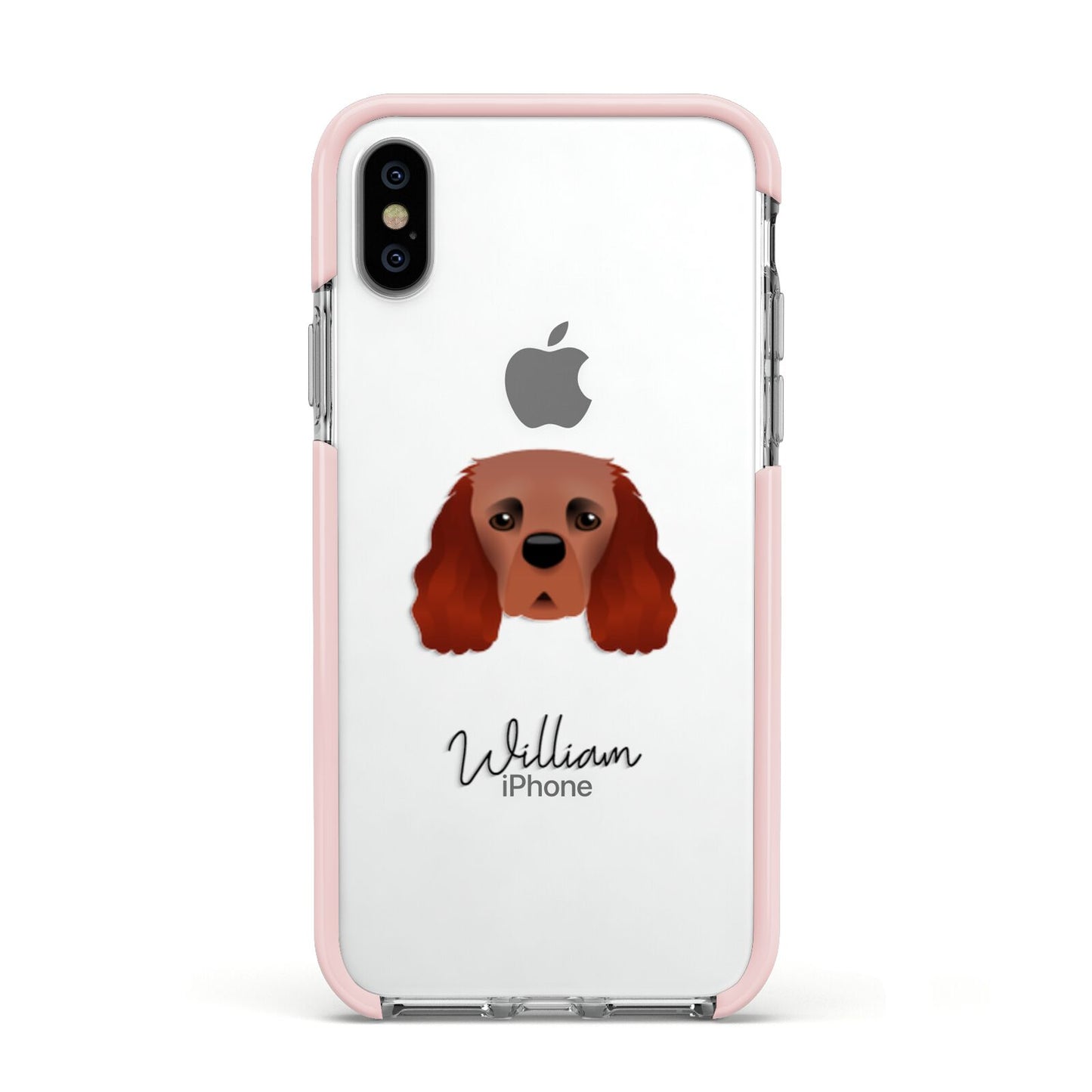 Cavalier King Charles Spaniel Personalised Apple iPhone Xs Impact Case Pink Edge on Silver Phone