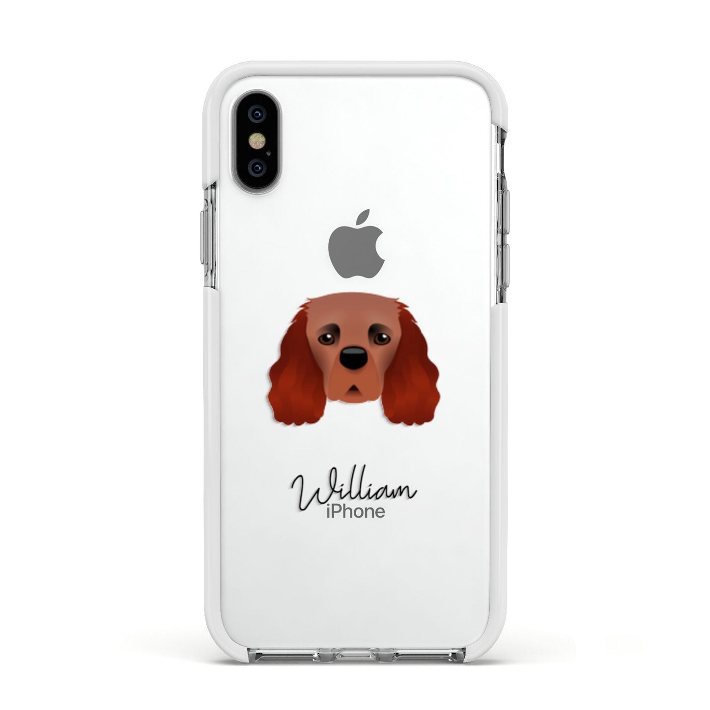 Cavalier King Charles Spaniel Personalised Apple iPhone Xs Impact Case White Edge on Silver Phone