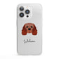 Cavalier King Charles Spaniel Personalised iPhone 13 Pro Clear Bumper Case