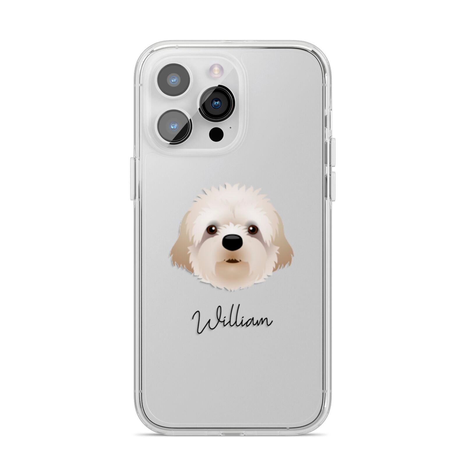 Cavapoochon Personalised iPhone 14 Pro Max Clear Tough Case Silver