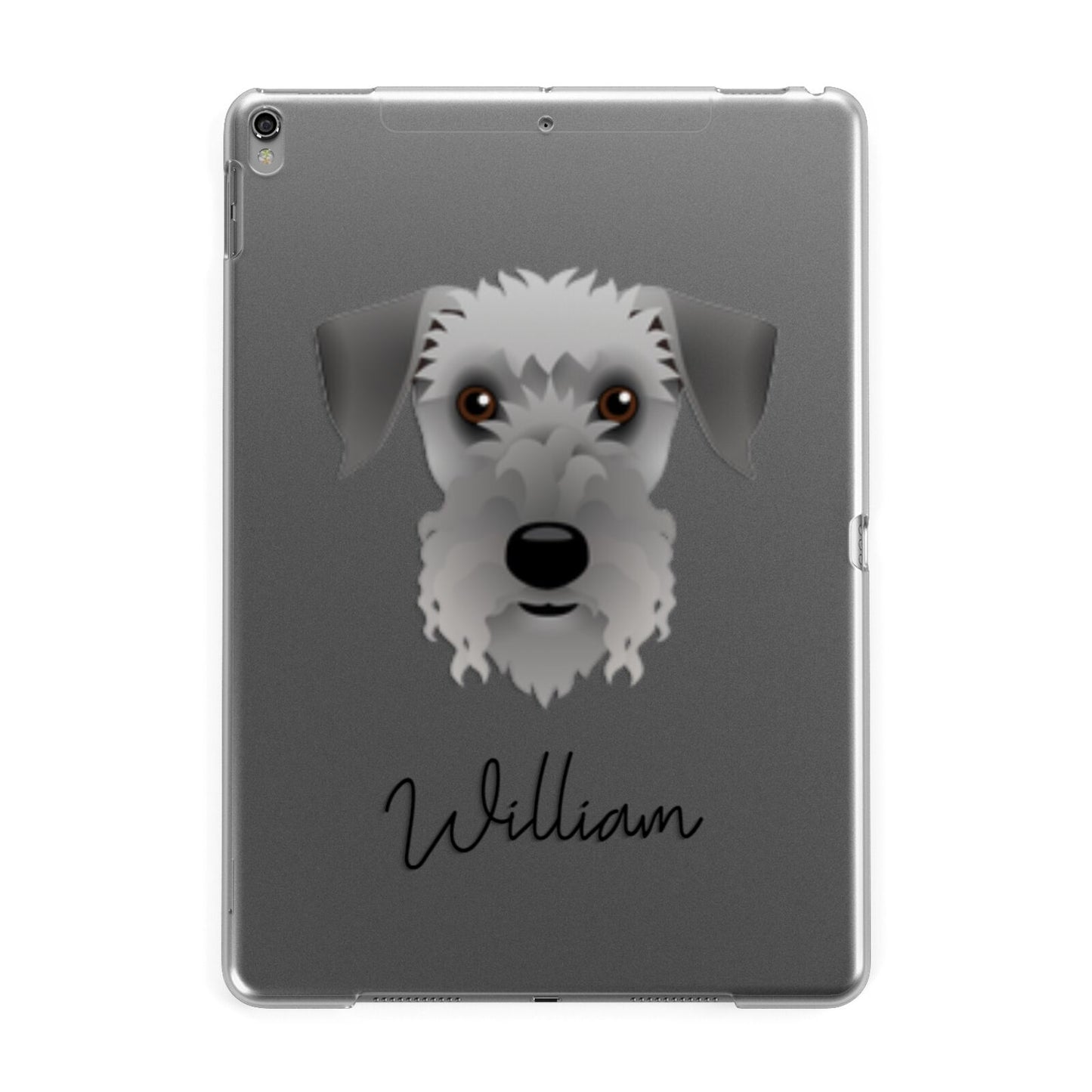 Cesky Terrier Personalised Apple iPad Grey Case