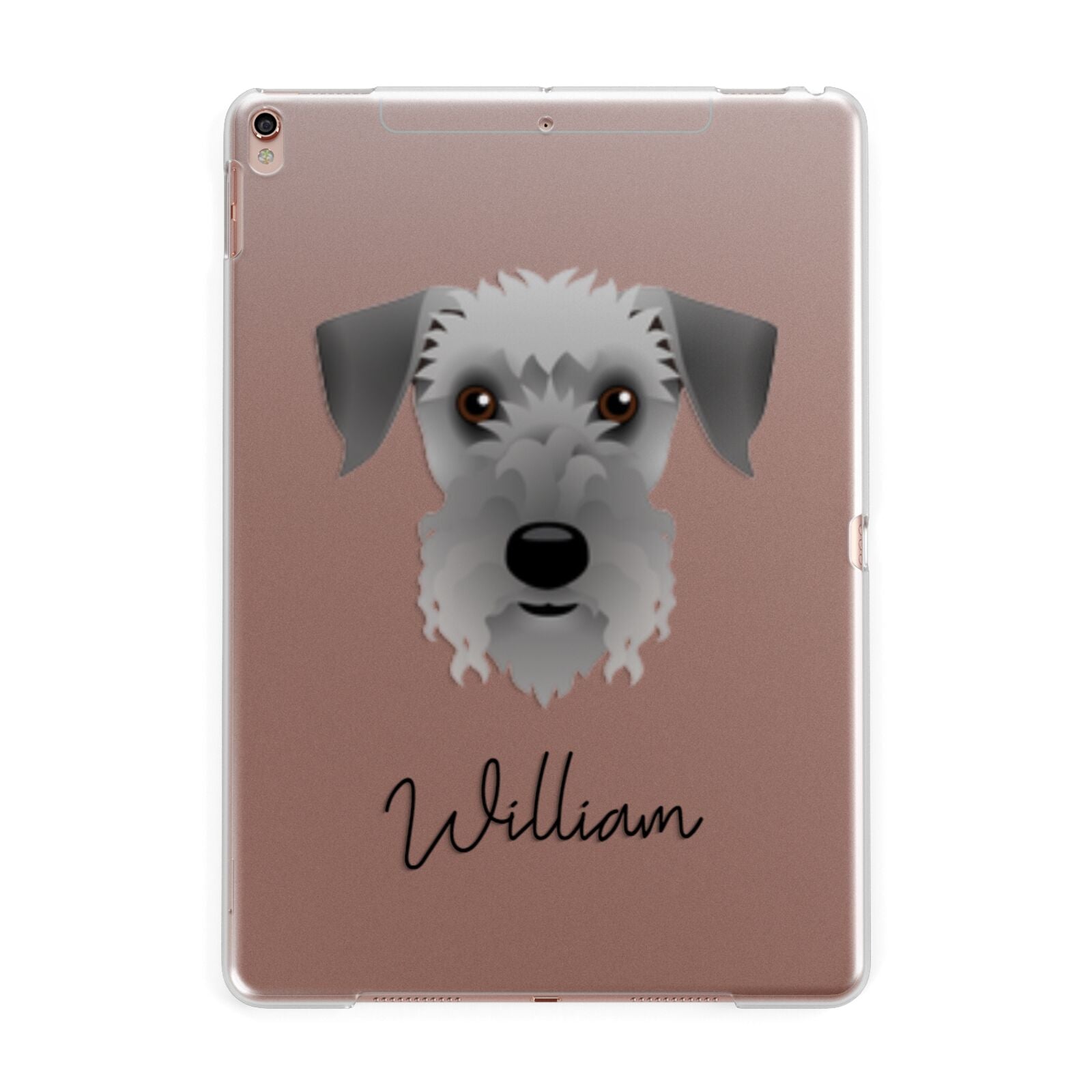 Cesky Terrier Personalised Apple iPad Rose Gold Case