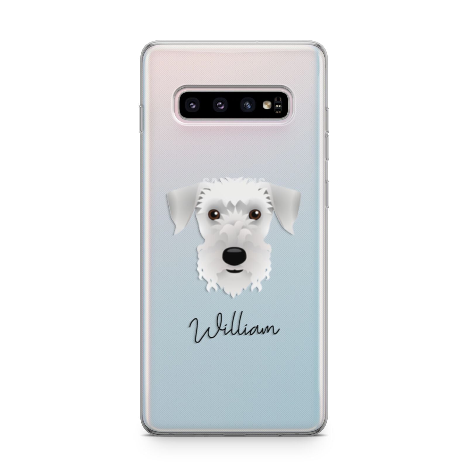 Cesky Terrier Personalised Samsung Galaxy S10 Plus Case