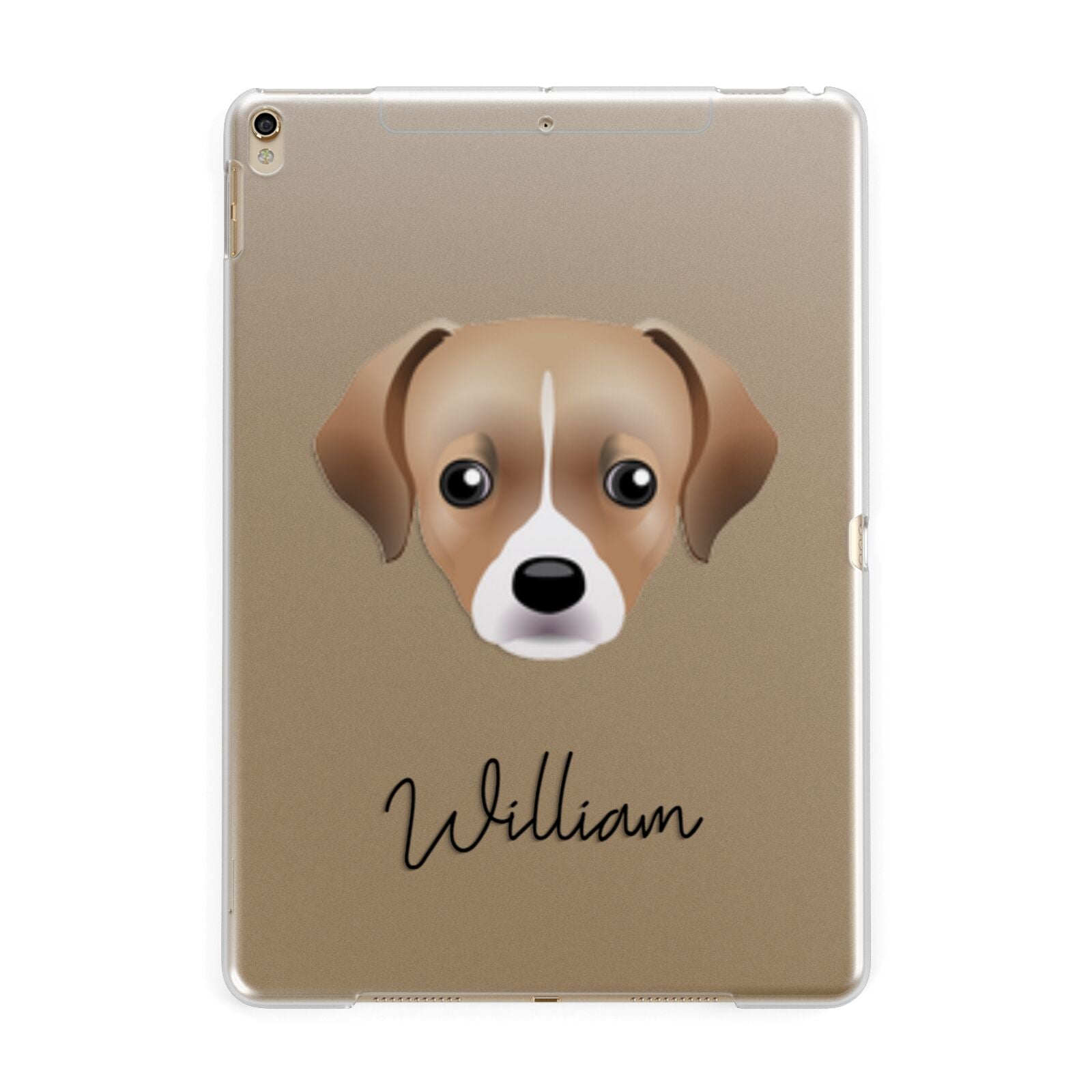 Cheagle Personalised Apple iPad Gold Case
