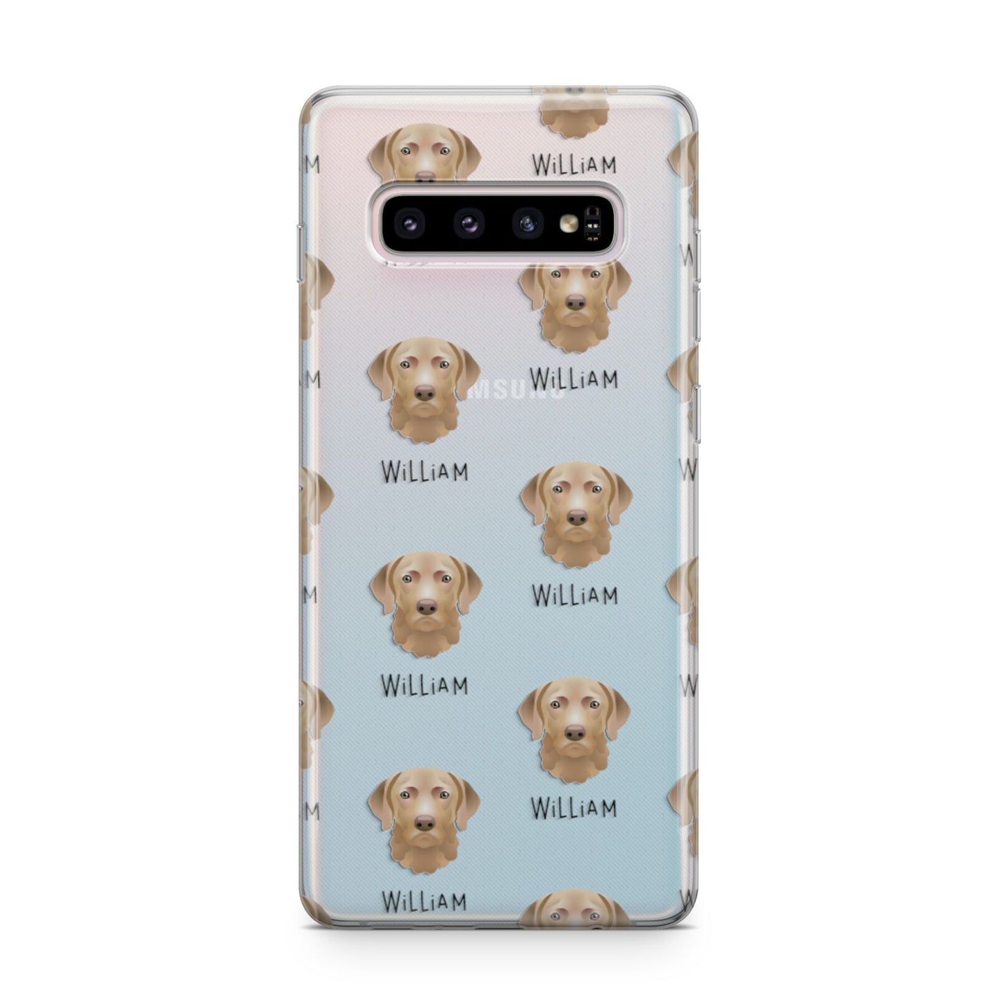 Chesapeake Bay Retriever Icon with Name Samsung Galaxy S10 Plus Case