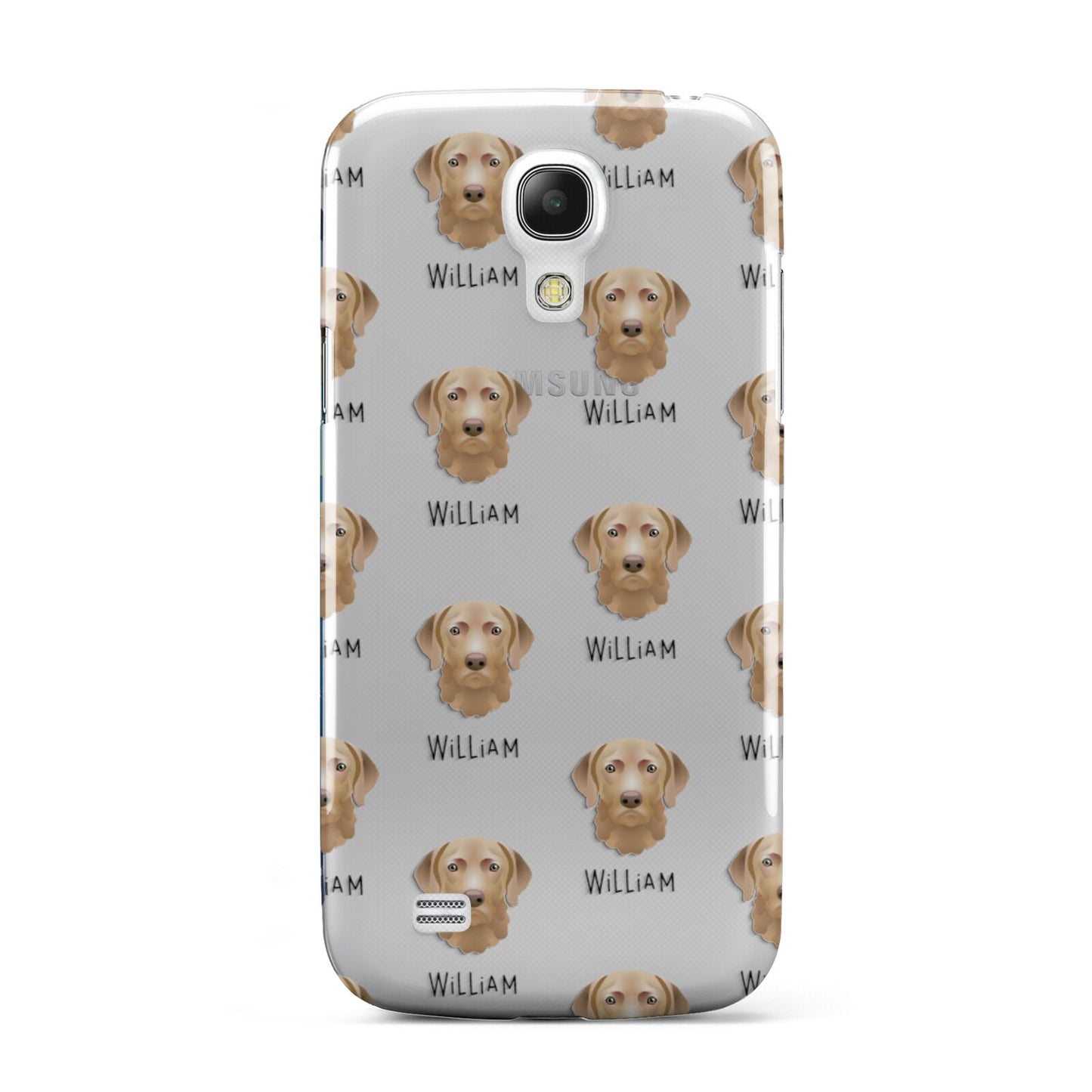 Chesapeake Bay Retriever Icon with Name Samsung Galaxy S4 Mini Case