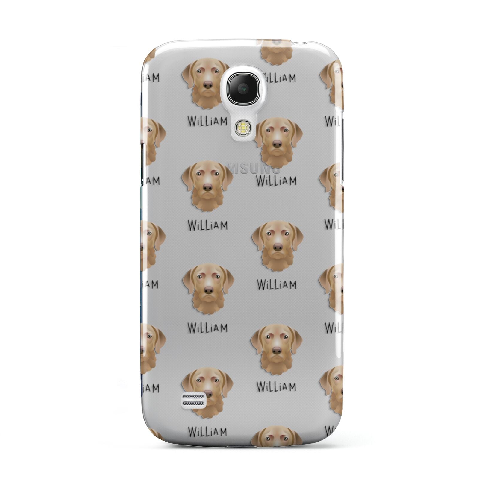 Chesapeake Bay Retriever Icon with Name Samsung Galaxy S4 Mini Case
