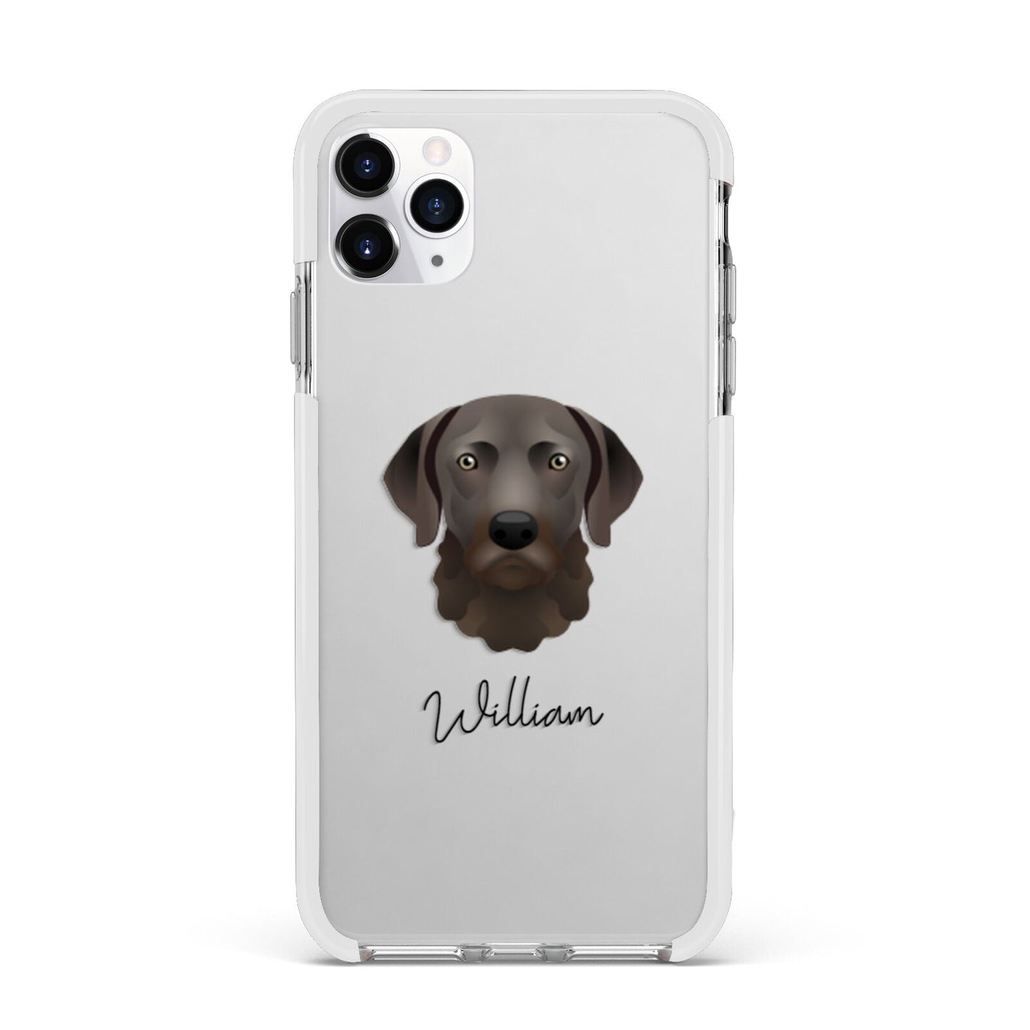 Chesapeake Bay Retriever Personalised Apple iPhone 11 Pro Max in Silver with White Impact Case