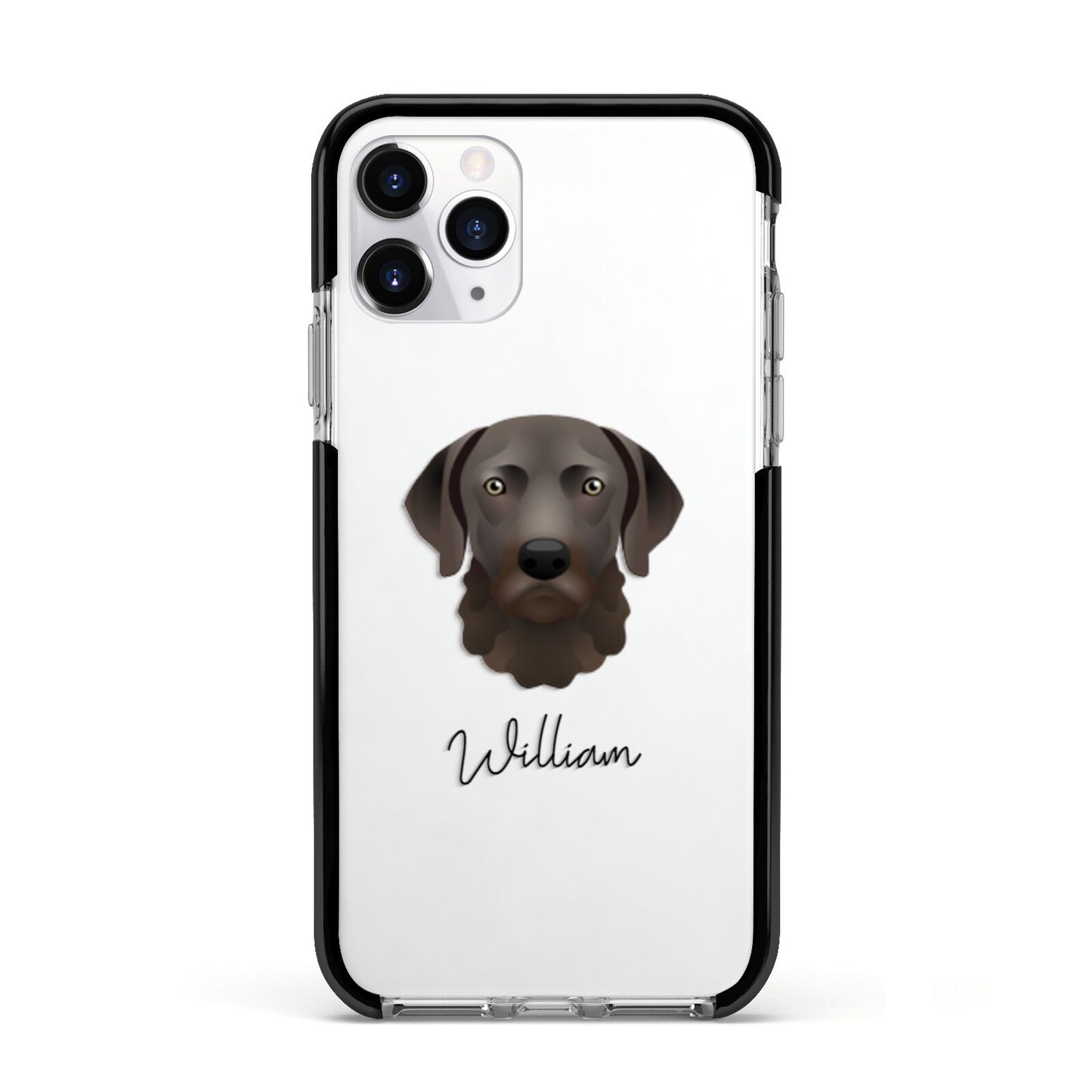Chesapeake Bay Retriever Personalised Apple iPhone 11 Pro in Silver with Black Impact Case