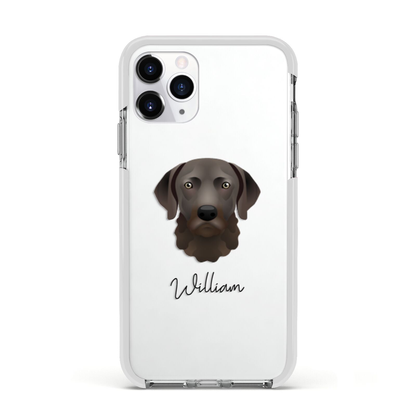Chesapeake Bay Retriever Personalised Apple iPhone 11 Pro in Silver with White Impact Case