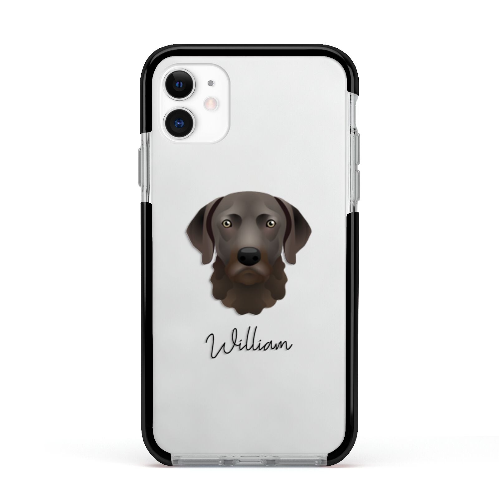 Chesapeake Bay Retriever Personalised Apple iPhone 11 in White with Black Impact Case