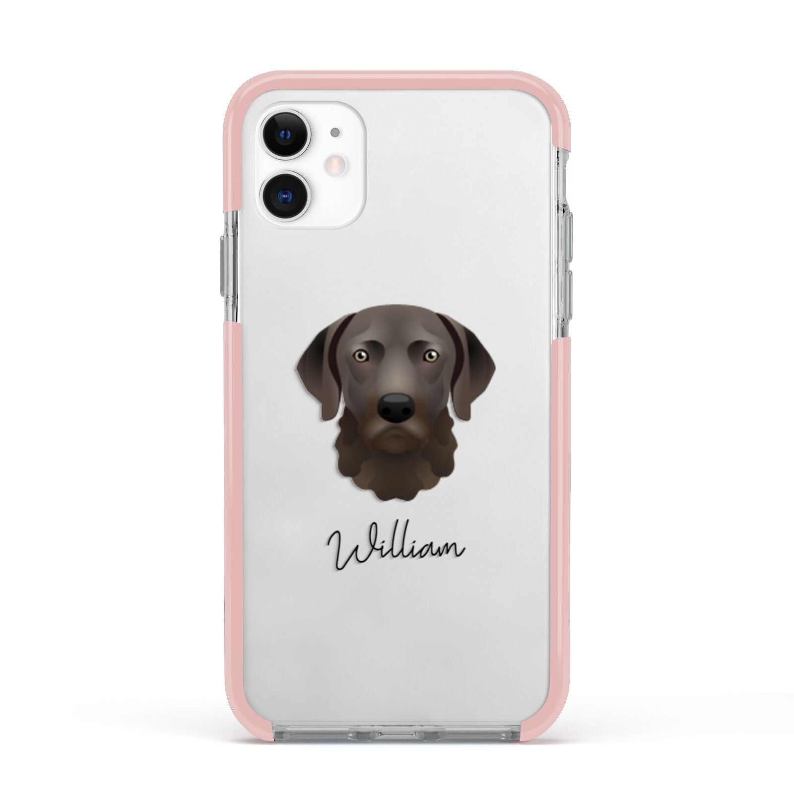 Chesapeake Bay Retriever Personalised Apple iPhone 11 in White with Pink Impact Case