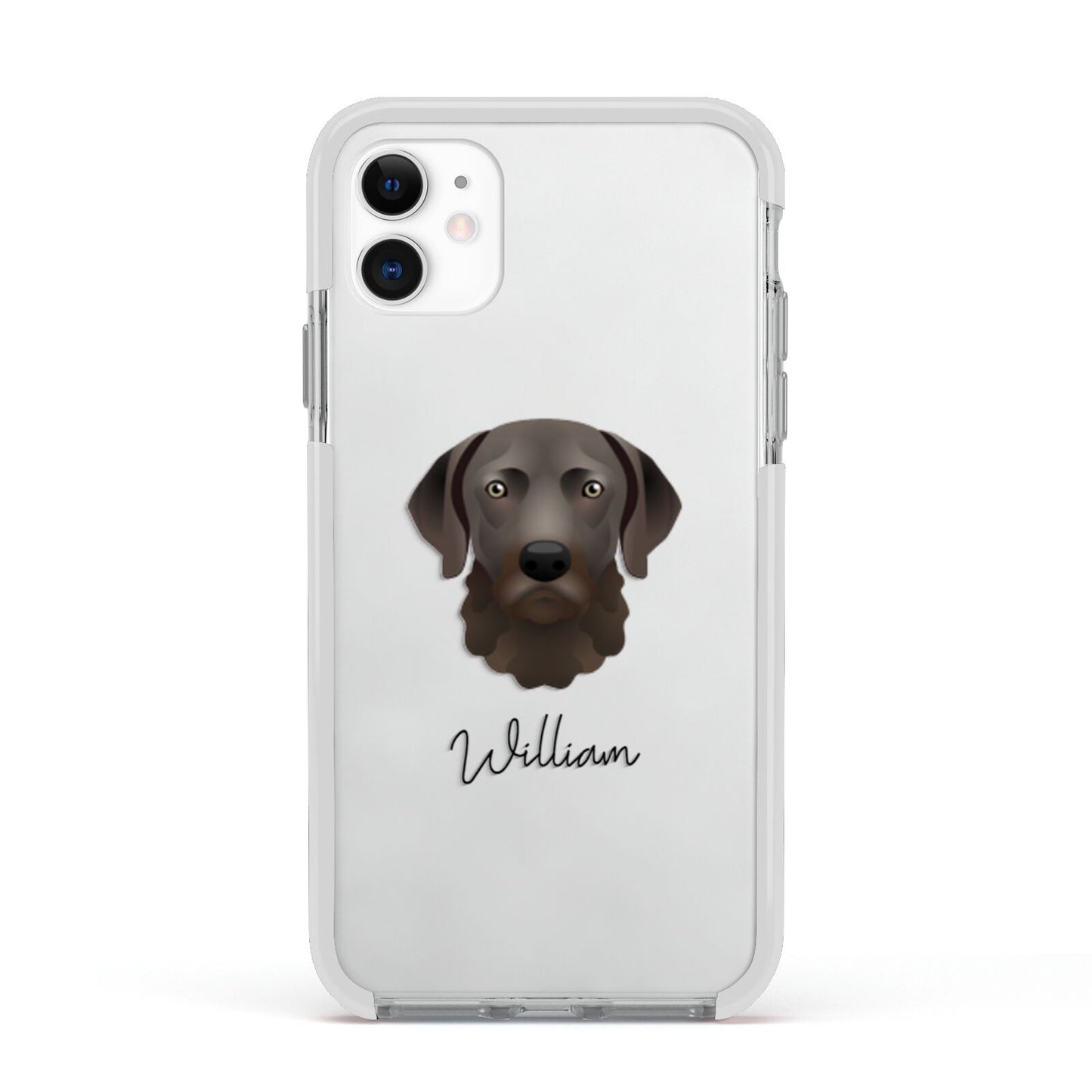 Chesapeake Bay Retriever Personalised Apple iPhone 11 in White with White Impact Case