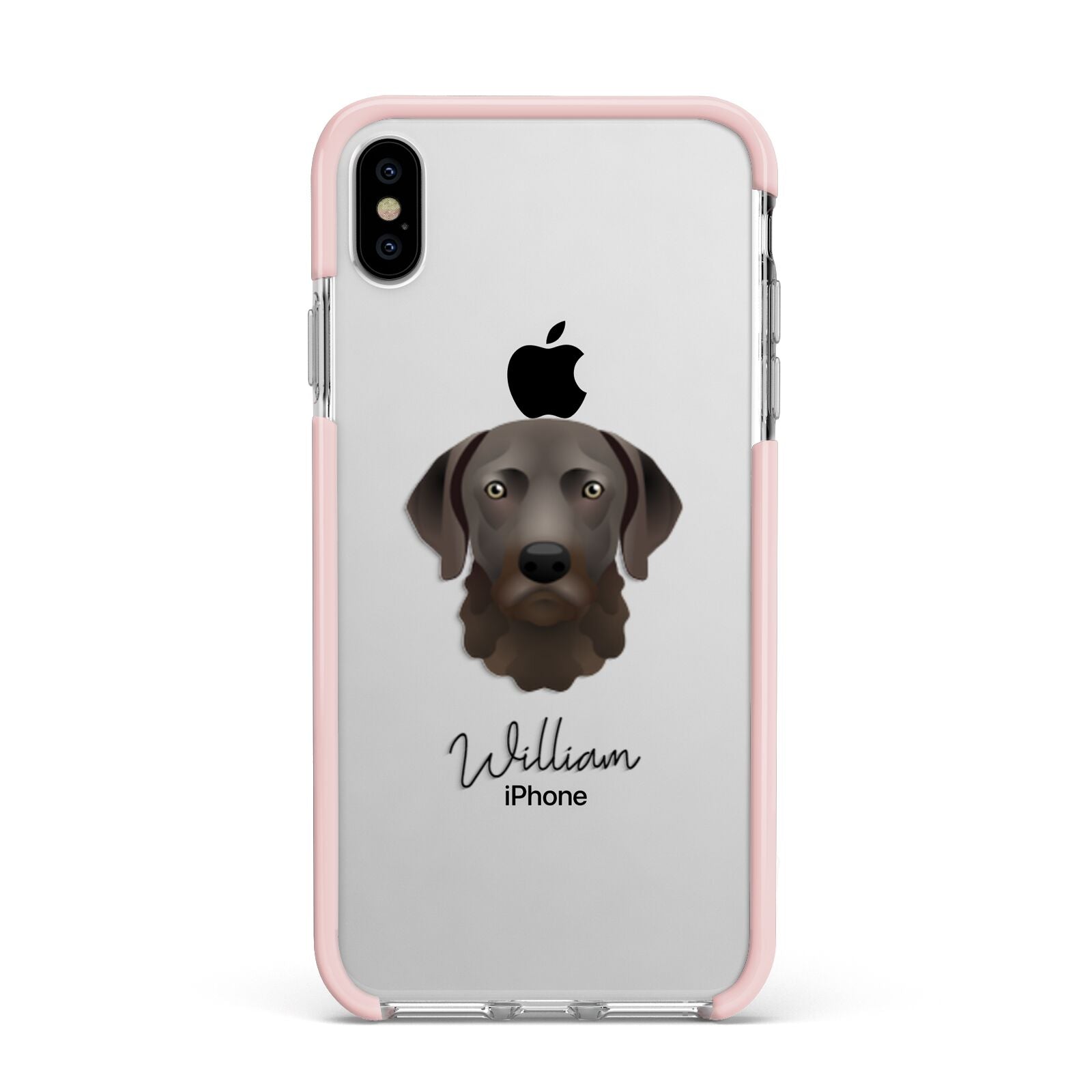 Chesapeake Bay Retriever Personalised Apple iPhone Xs Max Impact Case Pink Edge on Silver Phone