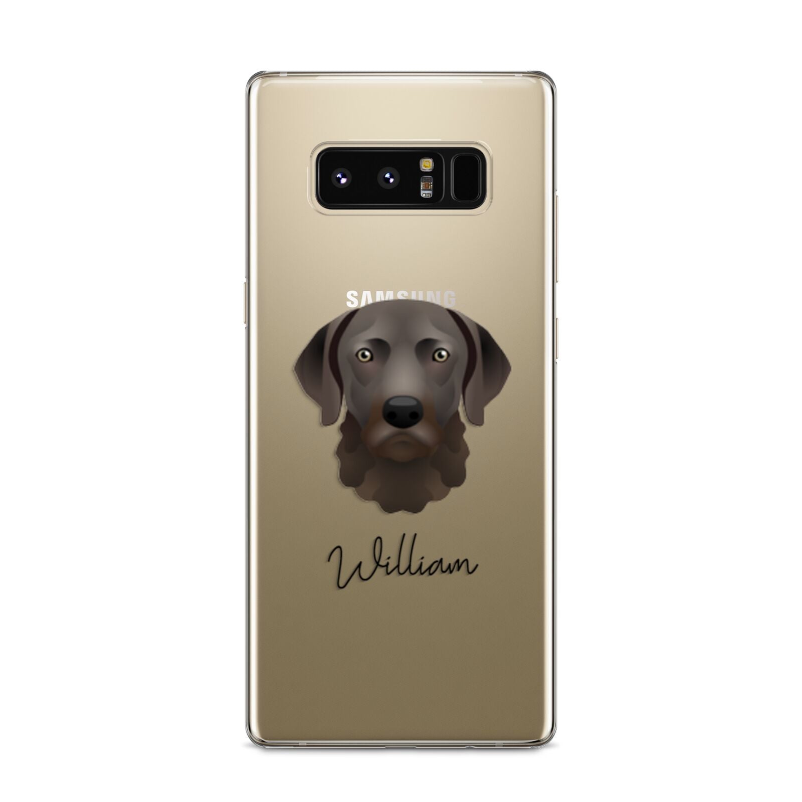 Chesapeake Bay Retriever Personalised Samsung Galaxy S8 Case