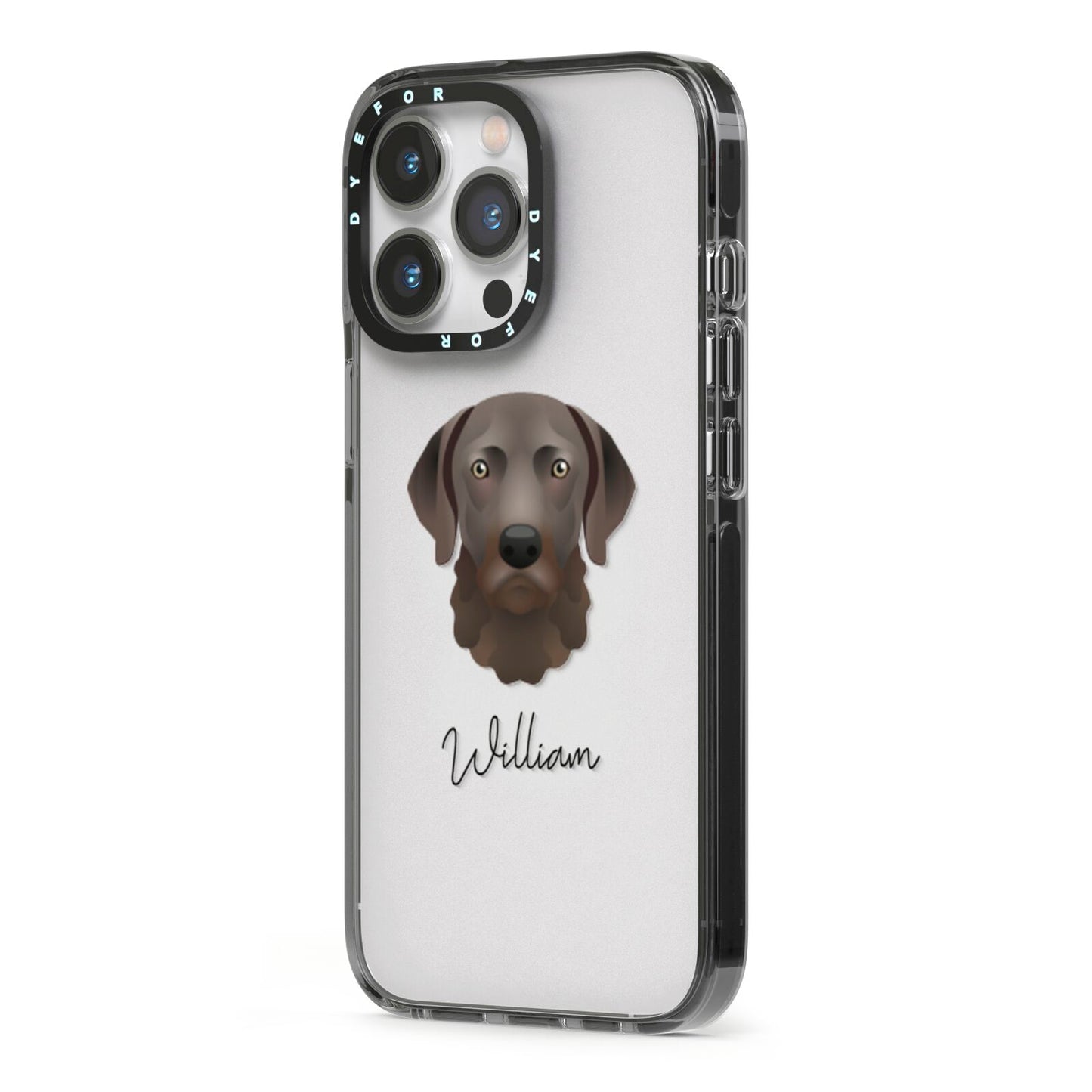 Chesapeake Bay Retriever Personalised iPhone 13 Pro Black Impact Case Side Angle on Silver phone